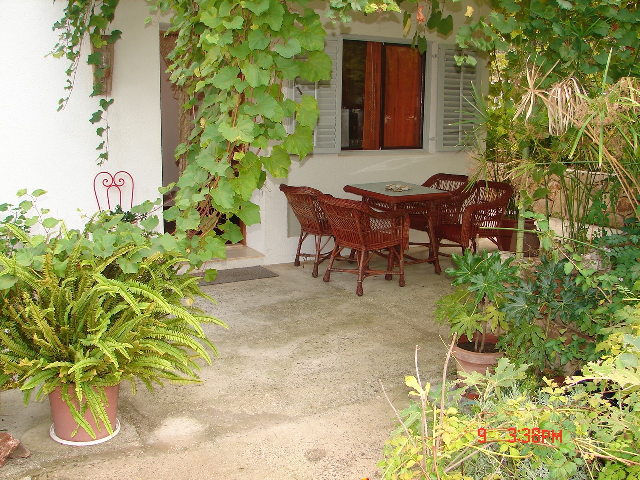 Top Hvar Jelsa Top Hvar Jelsa