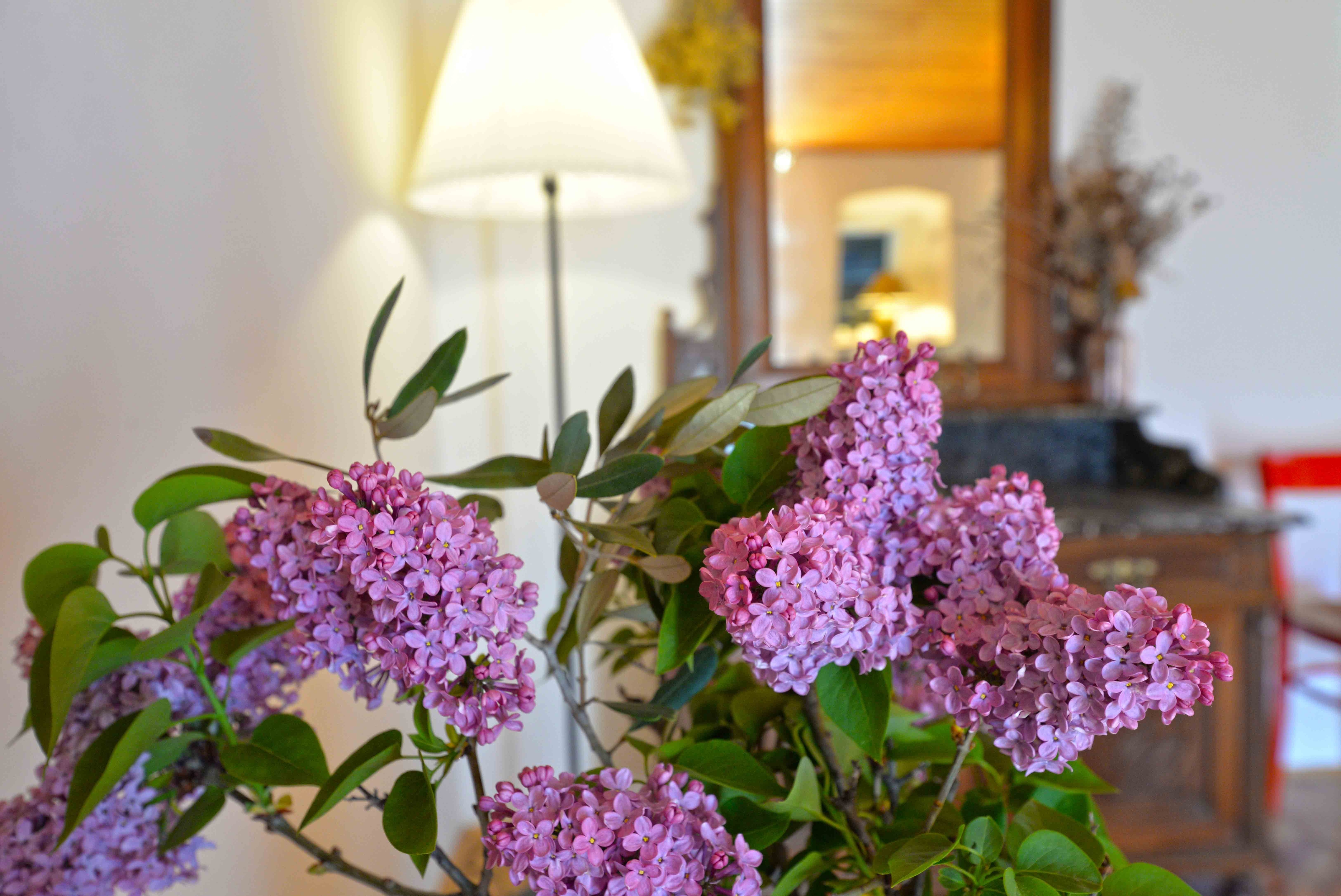 Two bedroom house with terrace Murter  K