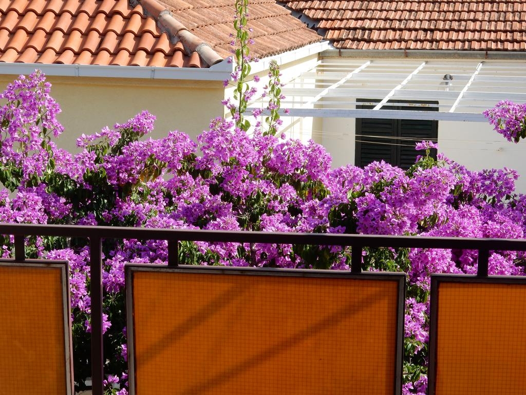 One bedroom apartment with balcony and sea view Lovište, Pelješac  A-a