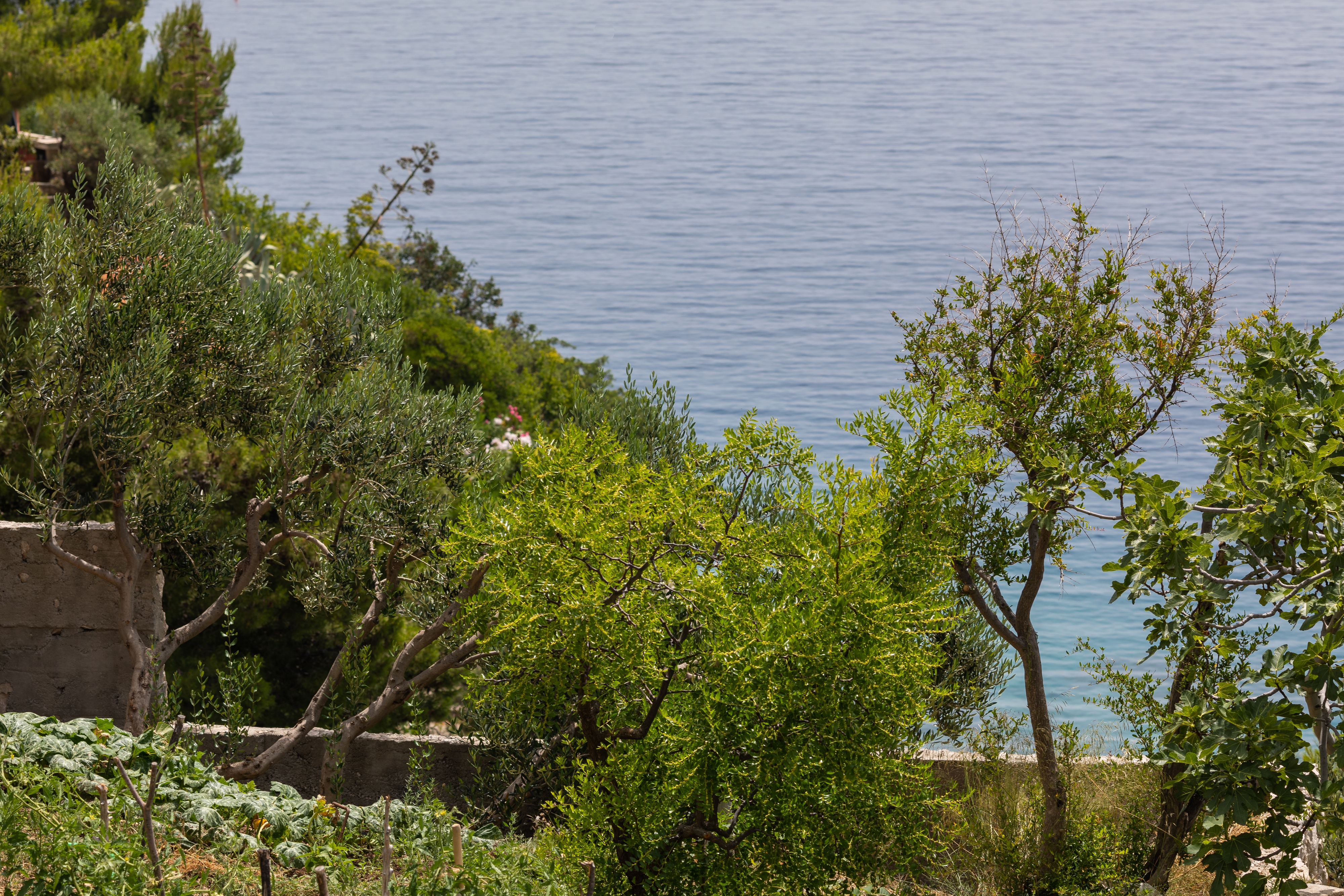 Two bedroom apartment near beach Pisak, Omiš  A-b