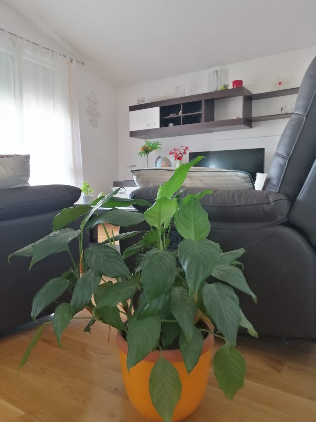 Top Zadar Bibinje Top Zadar Bibinje