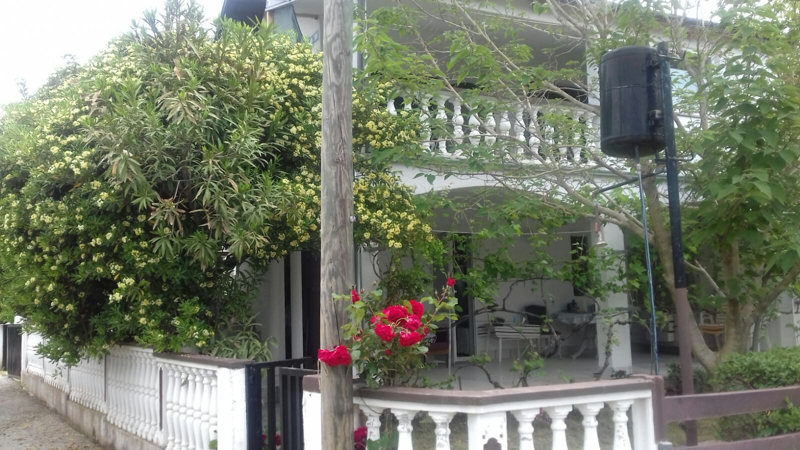 One bedroom apartment with terrace Privlaka, Zadar (A-15288-a) One bedroom apartment with terrace Privlaka, Zadar (A-15288-a)