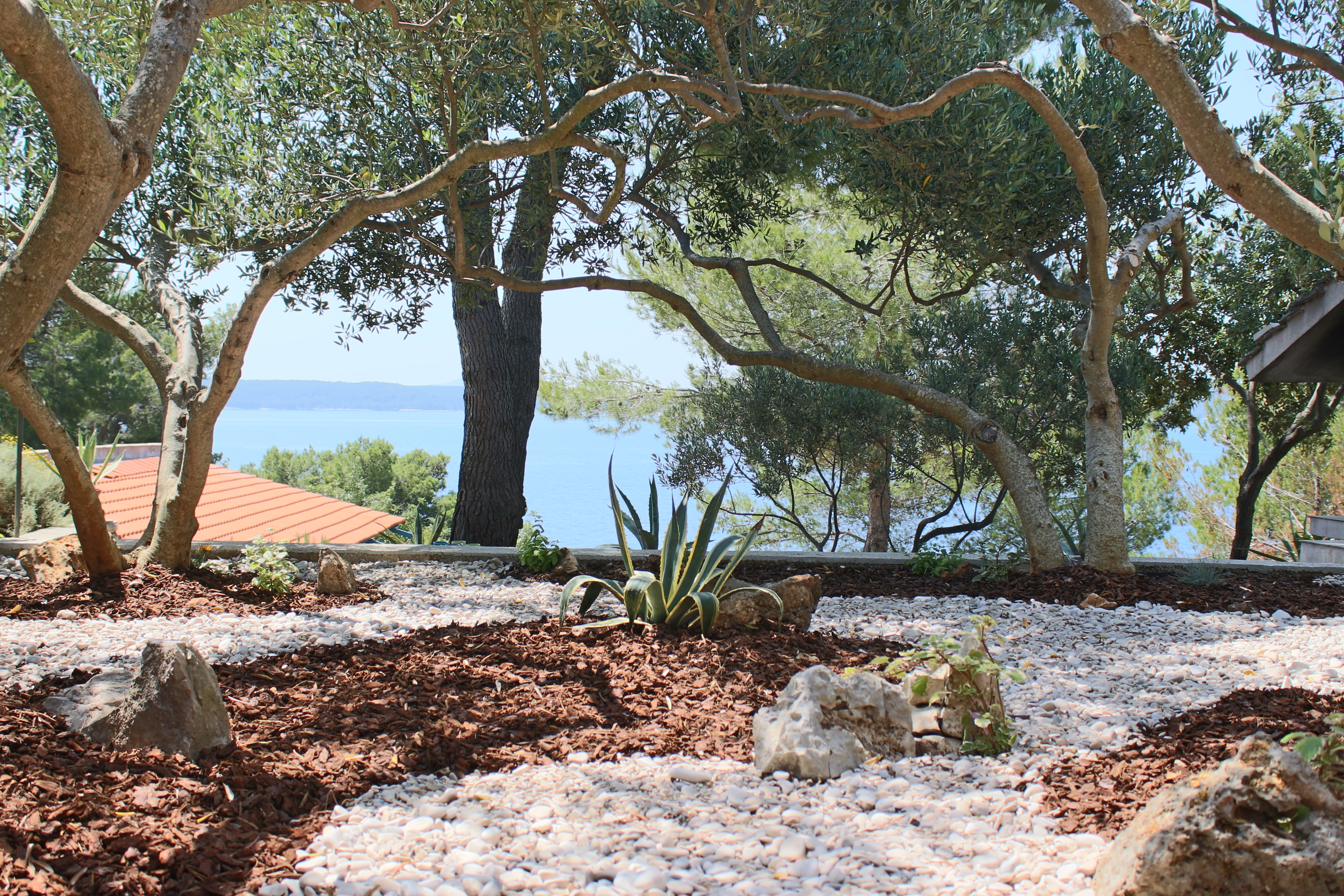 One bedroom apartment with terrace and sea view Zavala, Hvar  A-b