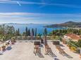 Apartments Mlini (Dubrovnik) - 15380