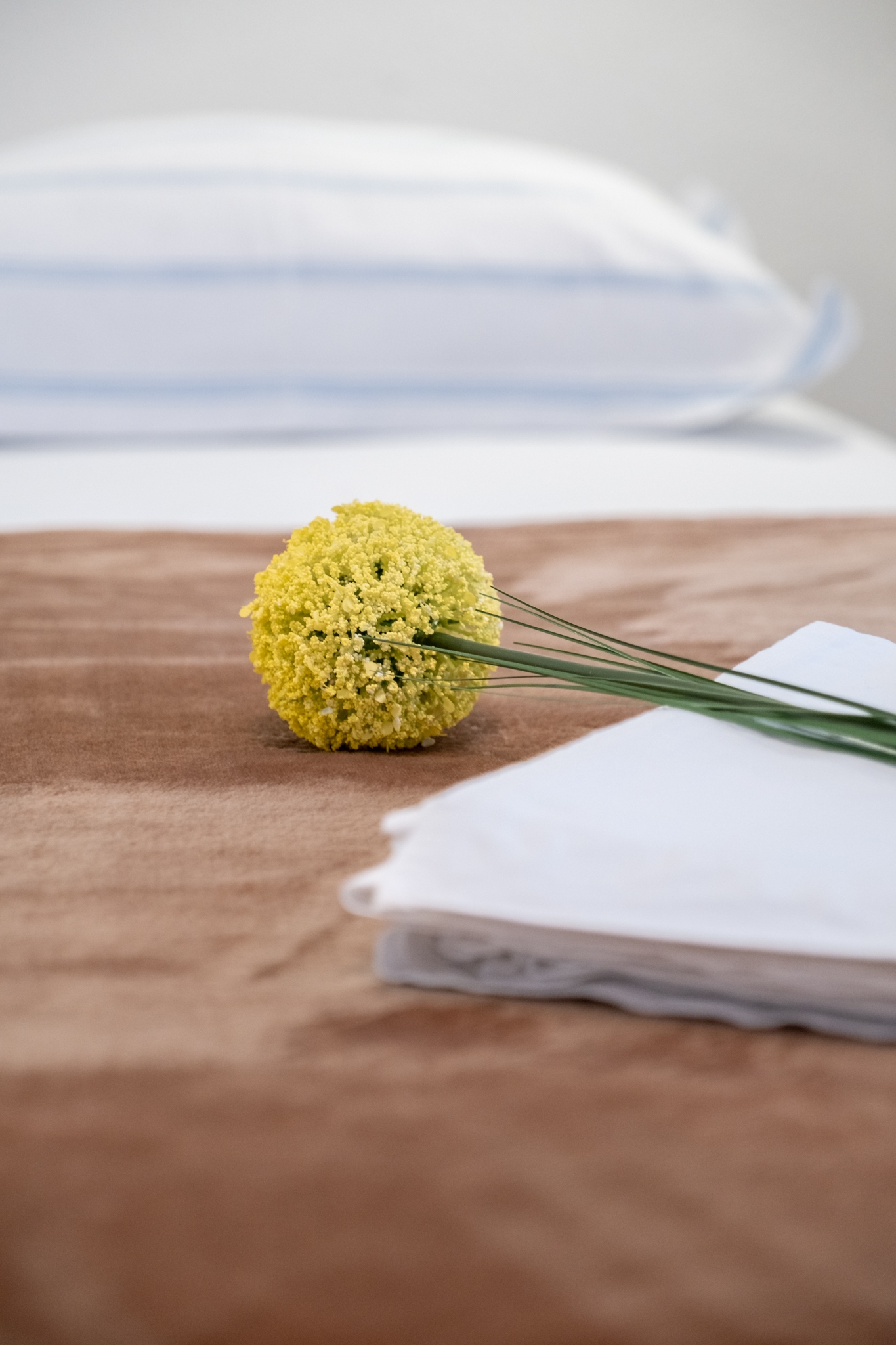 Top Brač Pučišća Top Brač Pučišća