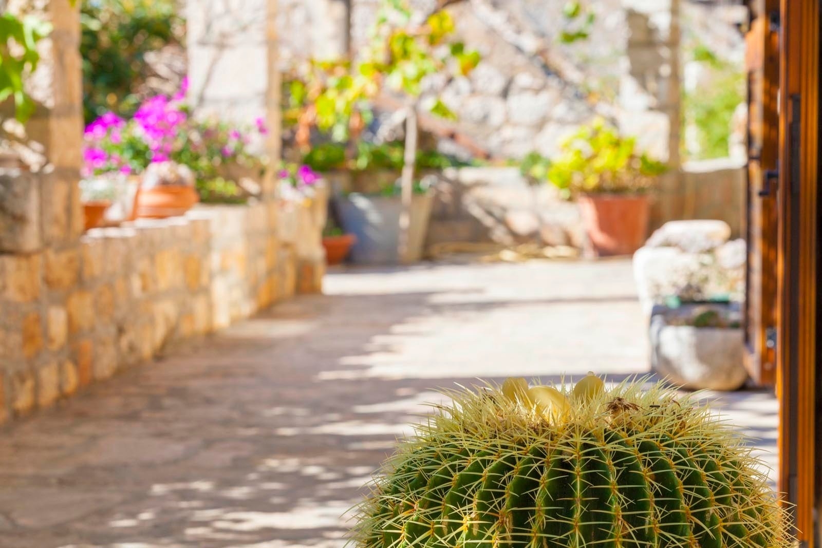 Three bedroom house with terrace Ložišća, Brač (K-15444) Three bedroom house with terrace Ložišća, Brač (K-15444)