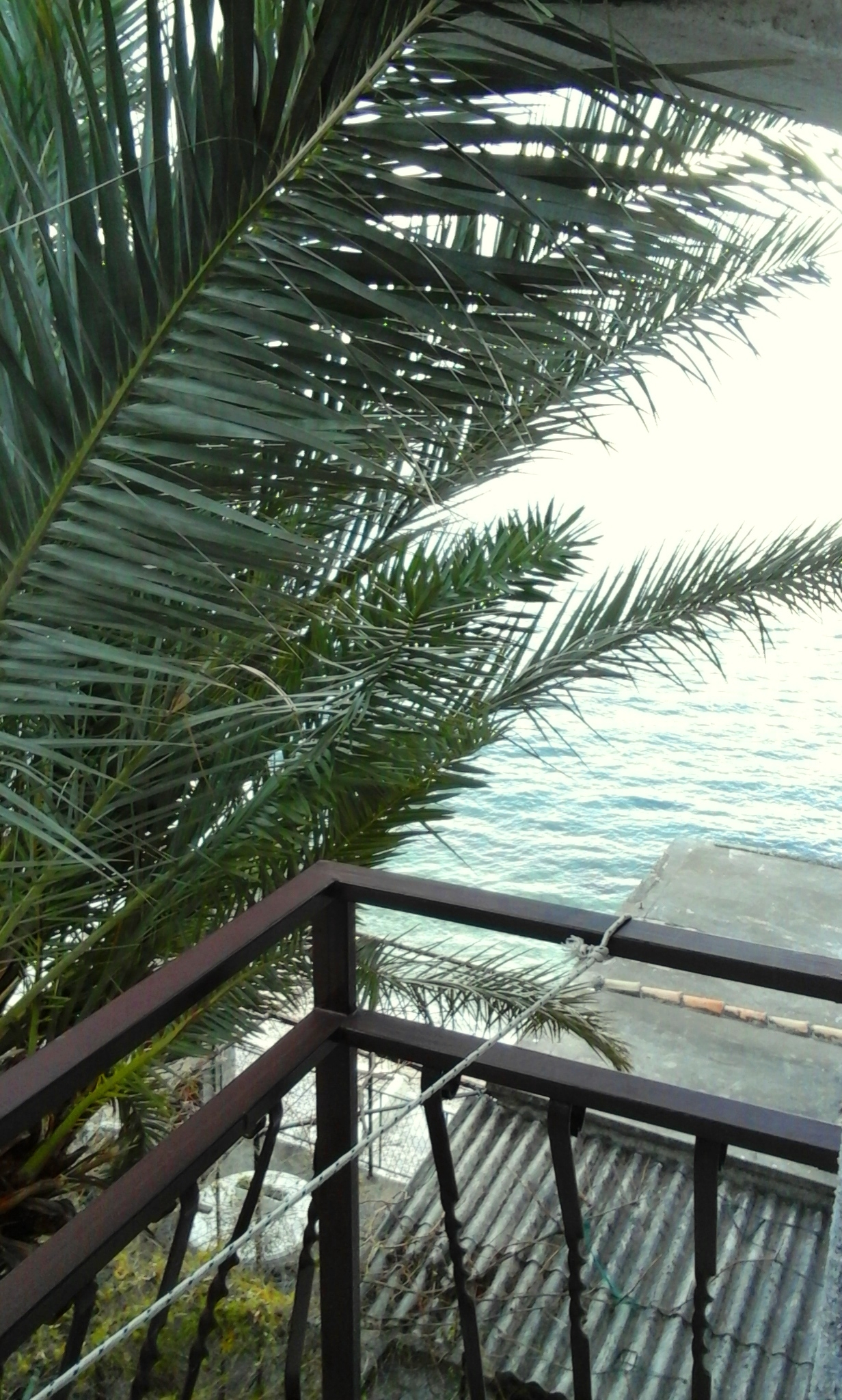 Top Makarska Brist Top Makarska Brist