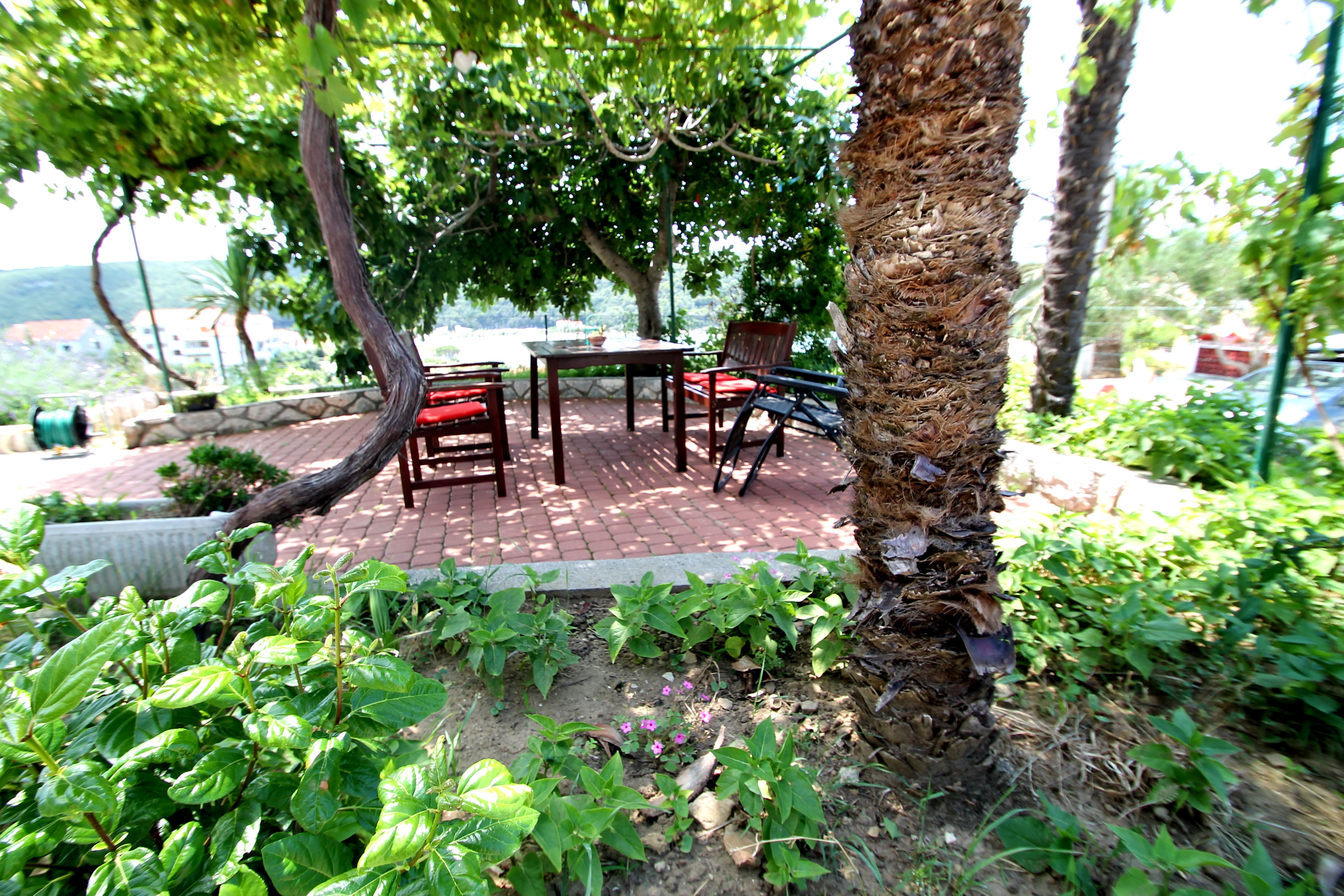 Two bedroom apartment with terrace and sea view Kampor, Rab (A-15518-a) Two bedroom apartment with terrace and sea view Kampor, Rab (A-15518-a)