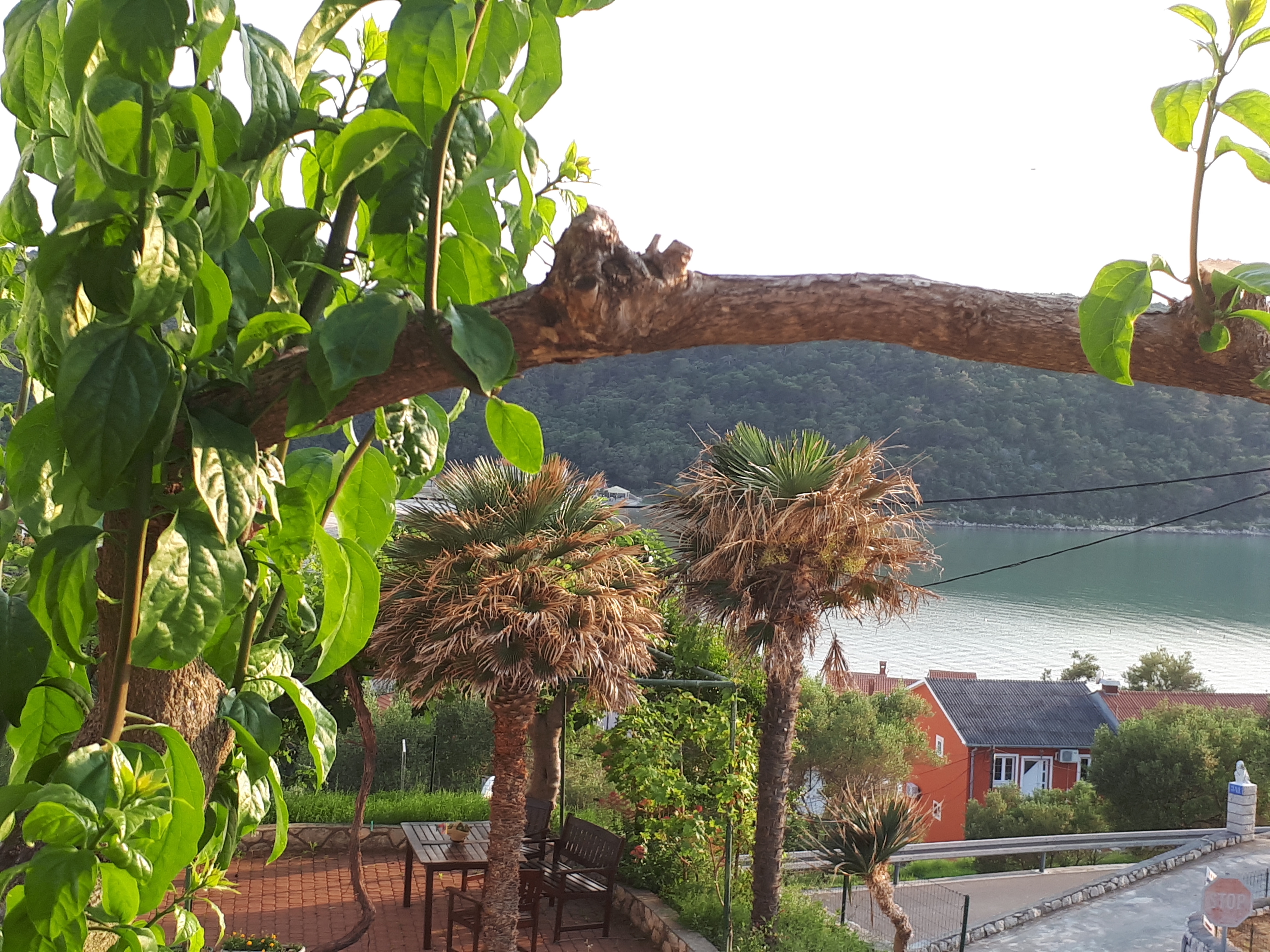 Two bedroom apartment with terrace and sea view Kampor, Rab  A-d