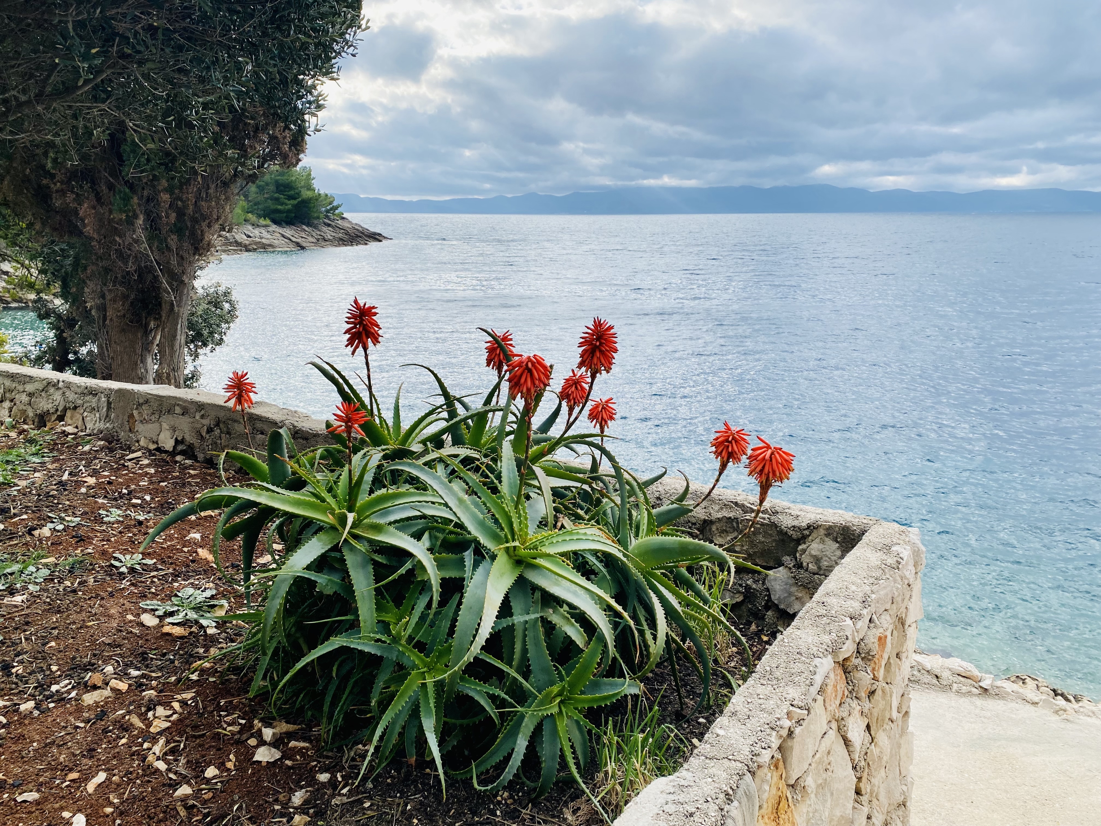 Two bedroom apartment near beach Cove Lučica, Hvar  A-a