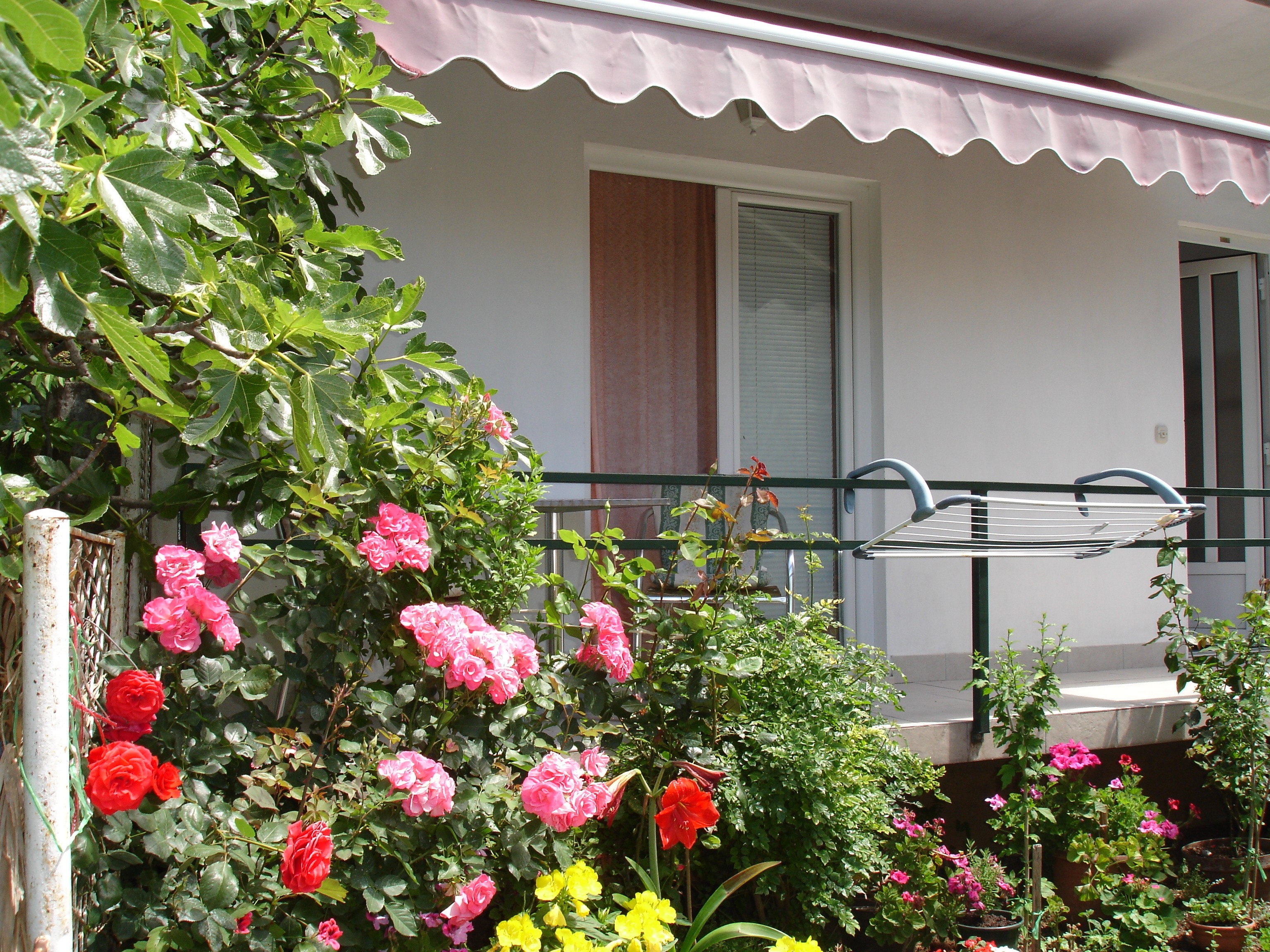 Studio flat with balcony Gradac, Makarska (AS-15585-b)