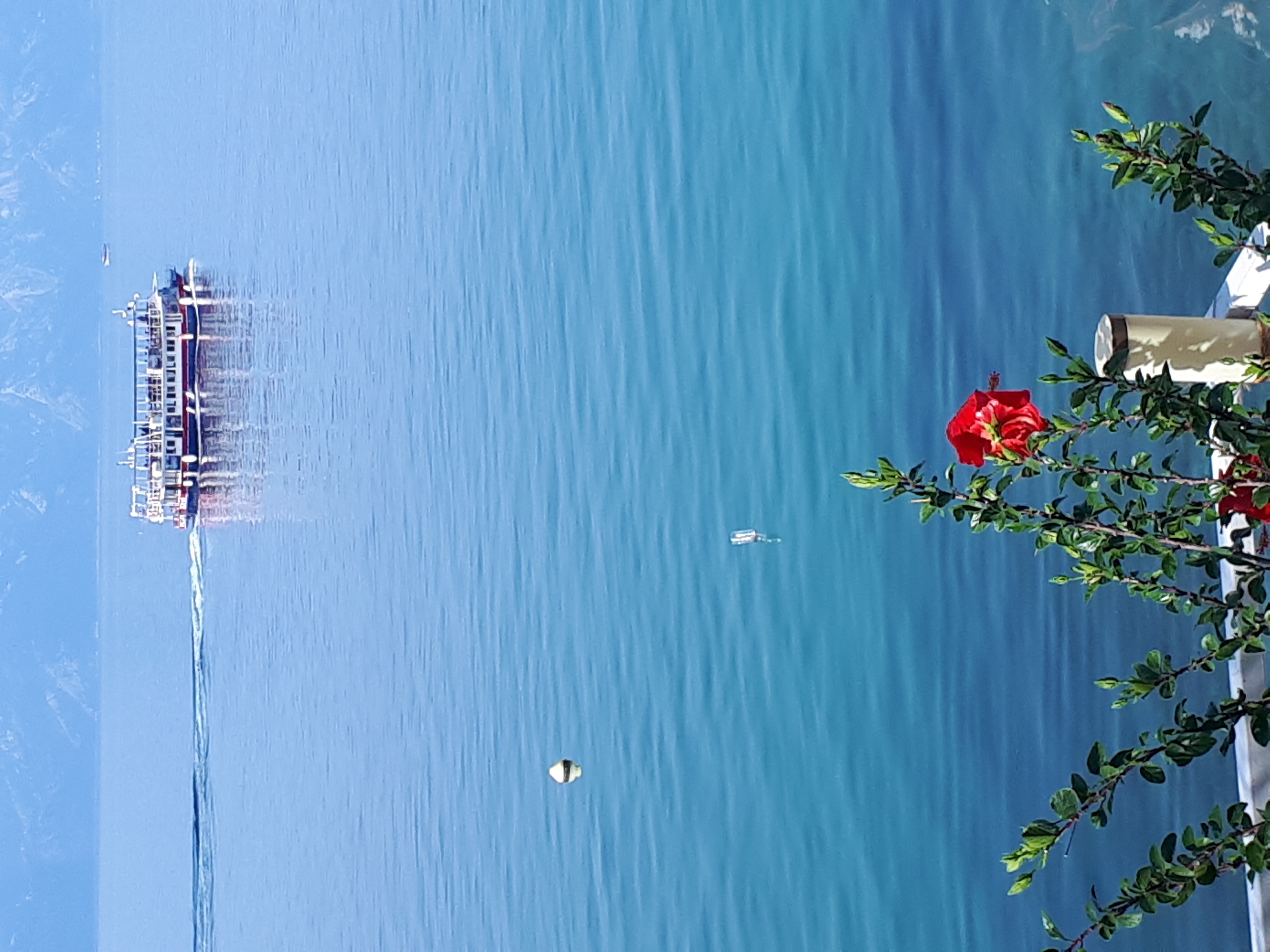 Top Makarska Brist Top Makarska Brist