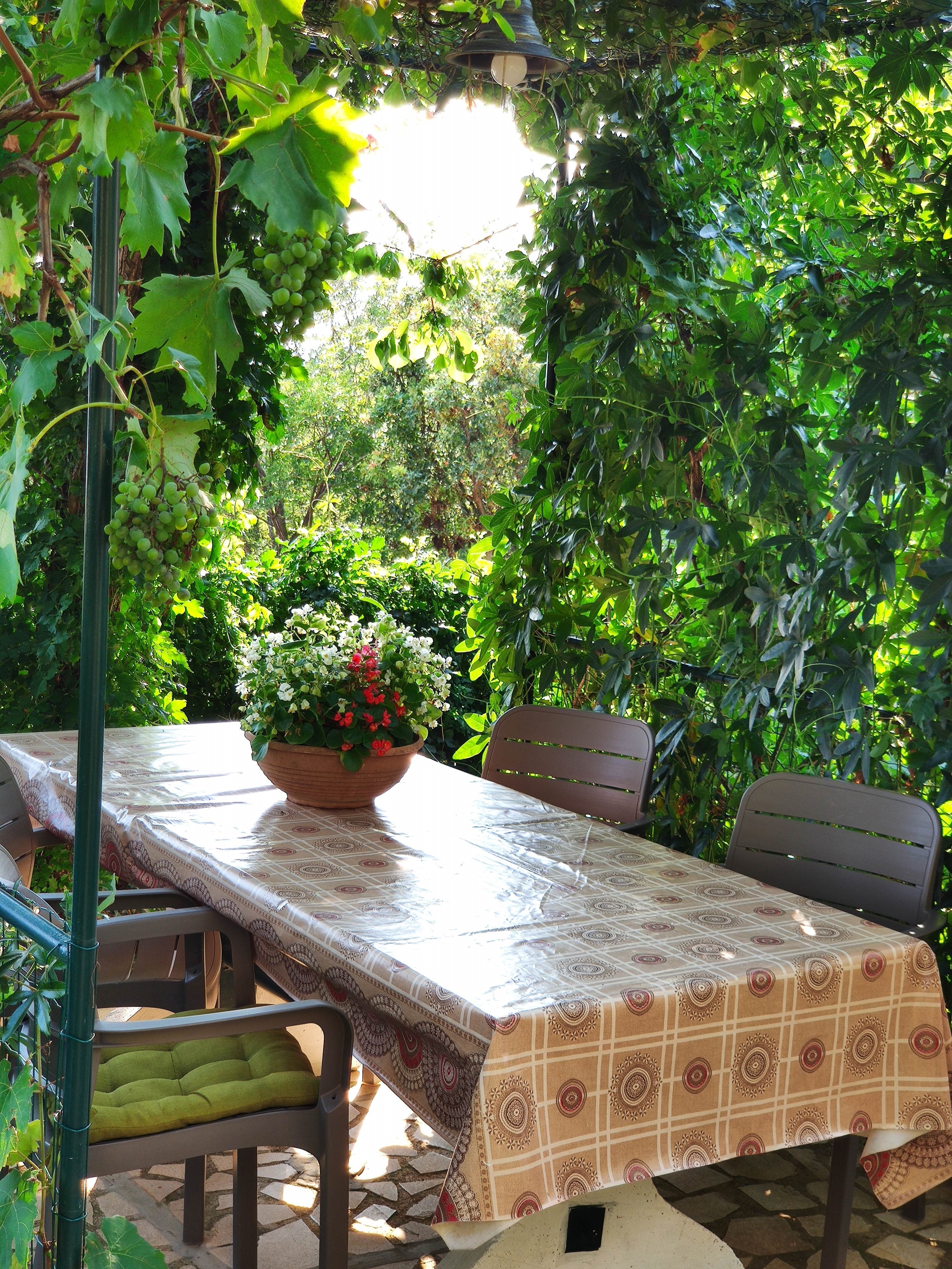 Top Kraljevica Šmrika Top Kraljevica Šmrika