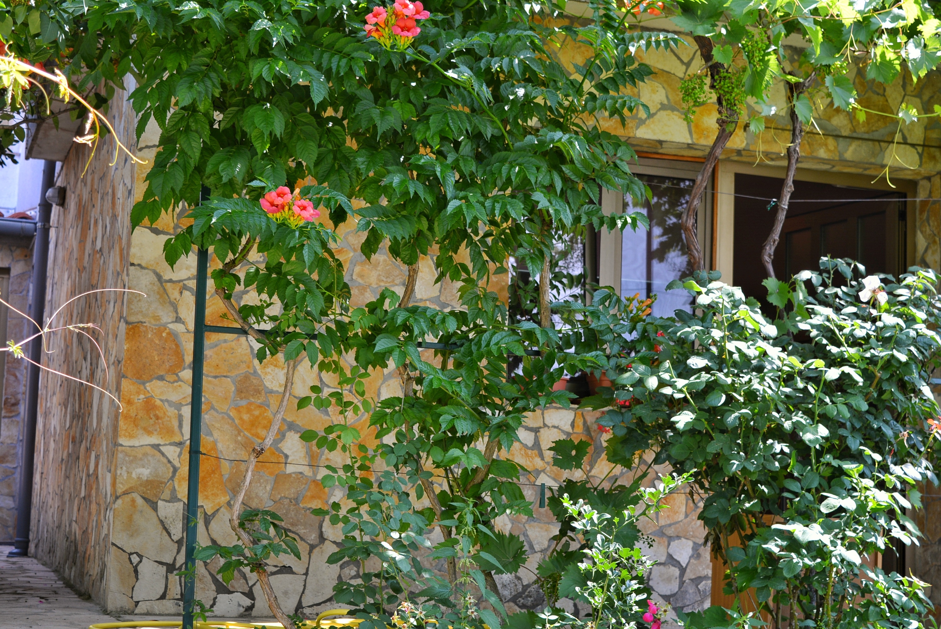 Studio flat with air-conditioning Šmrika, Kraljevica (AS-15709-a)