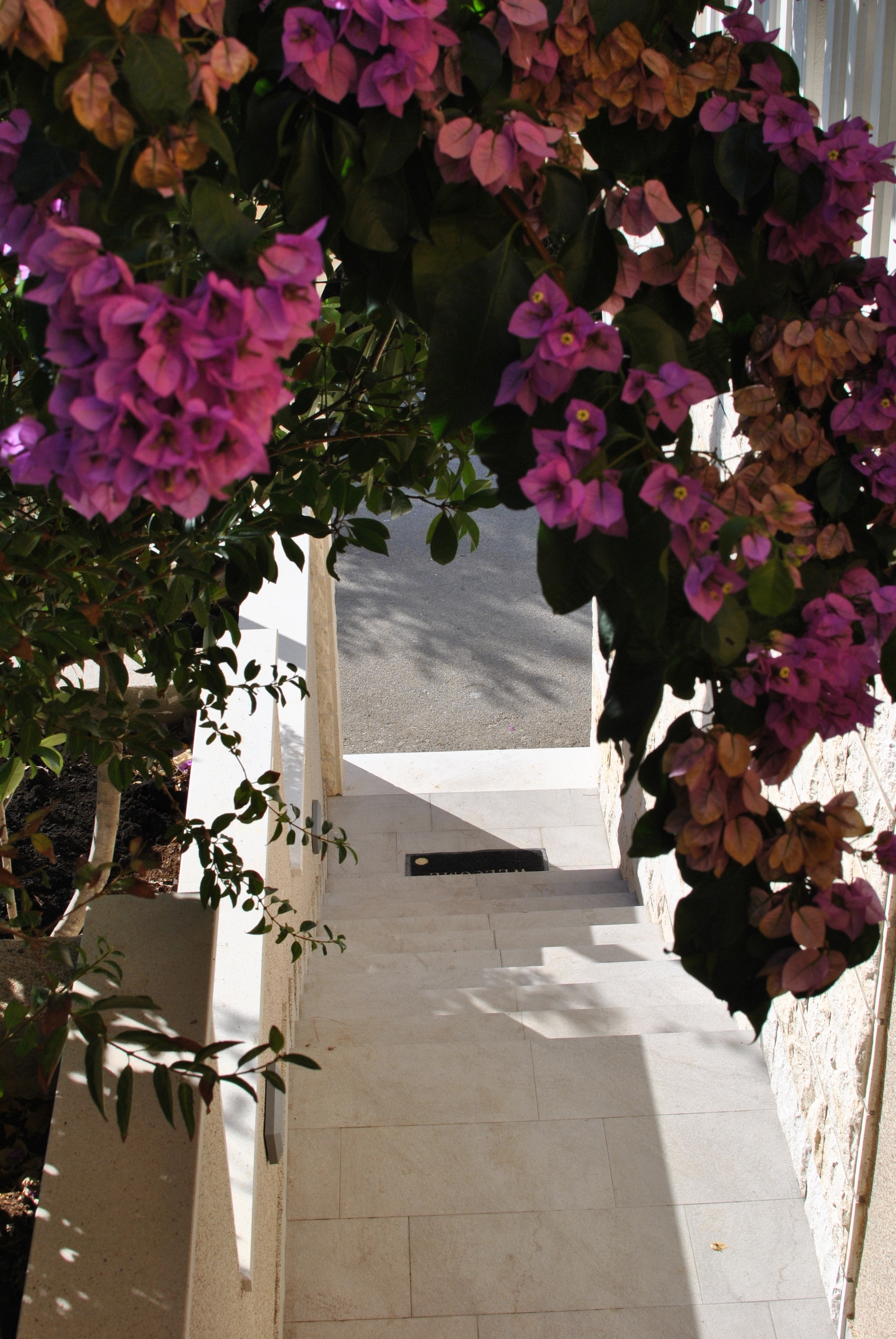 Top Korčula Brna Top Korčula Brna