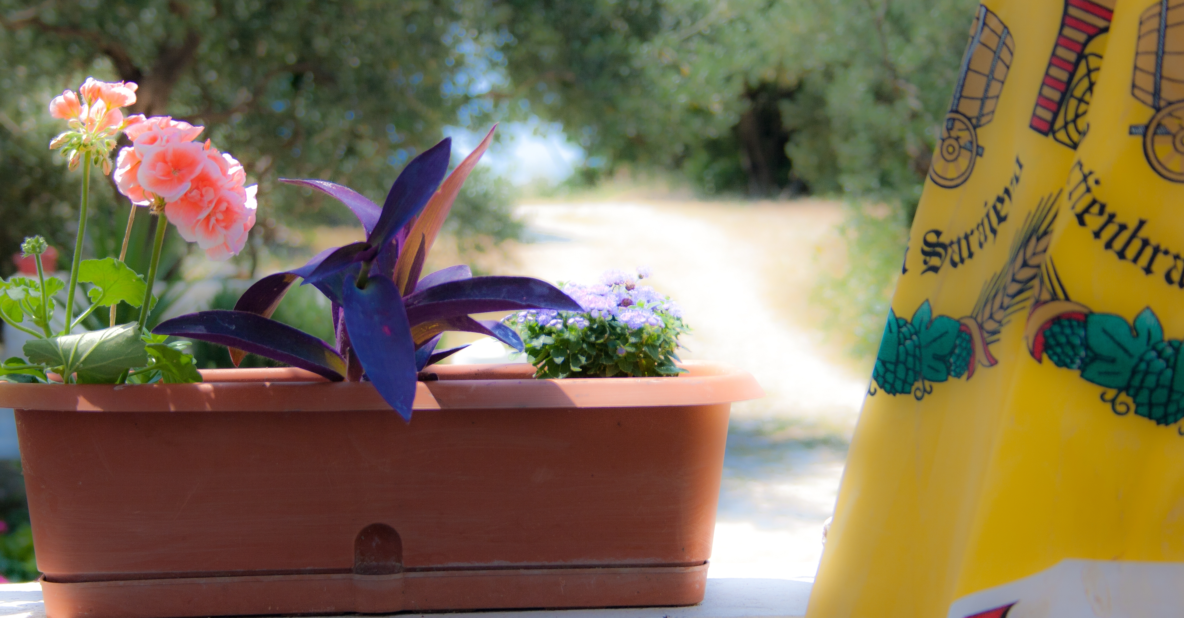 One bedroom apartment with balcony and sea view Podaca, Makarska (A-15748-e) One bedroom apartment with balcony and sea view Podaca, Makarska (A-15748-e)