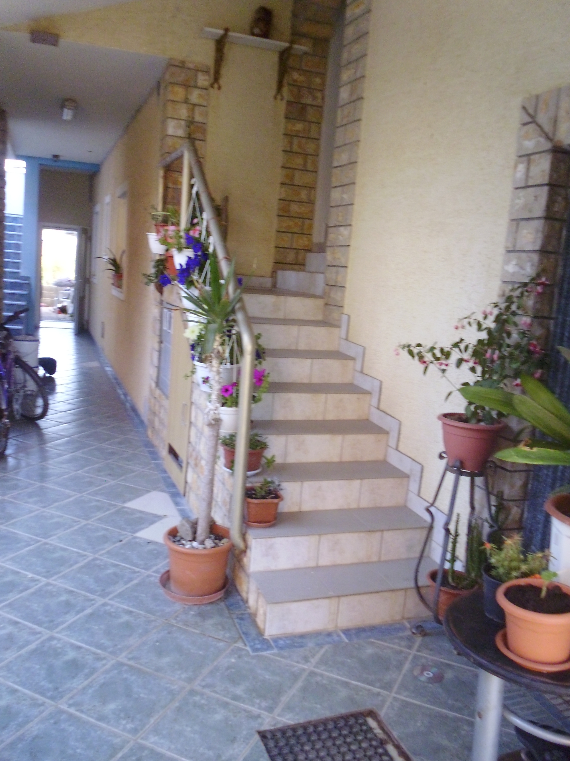 Top Zadar Nin Top Zadar Nin