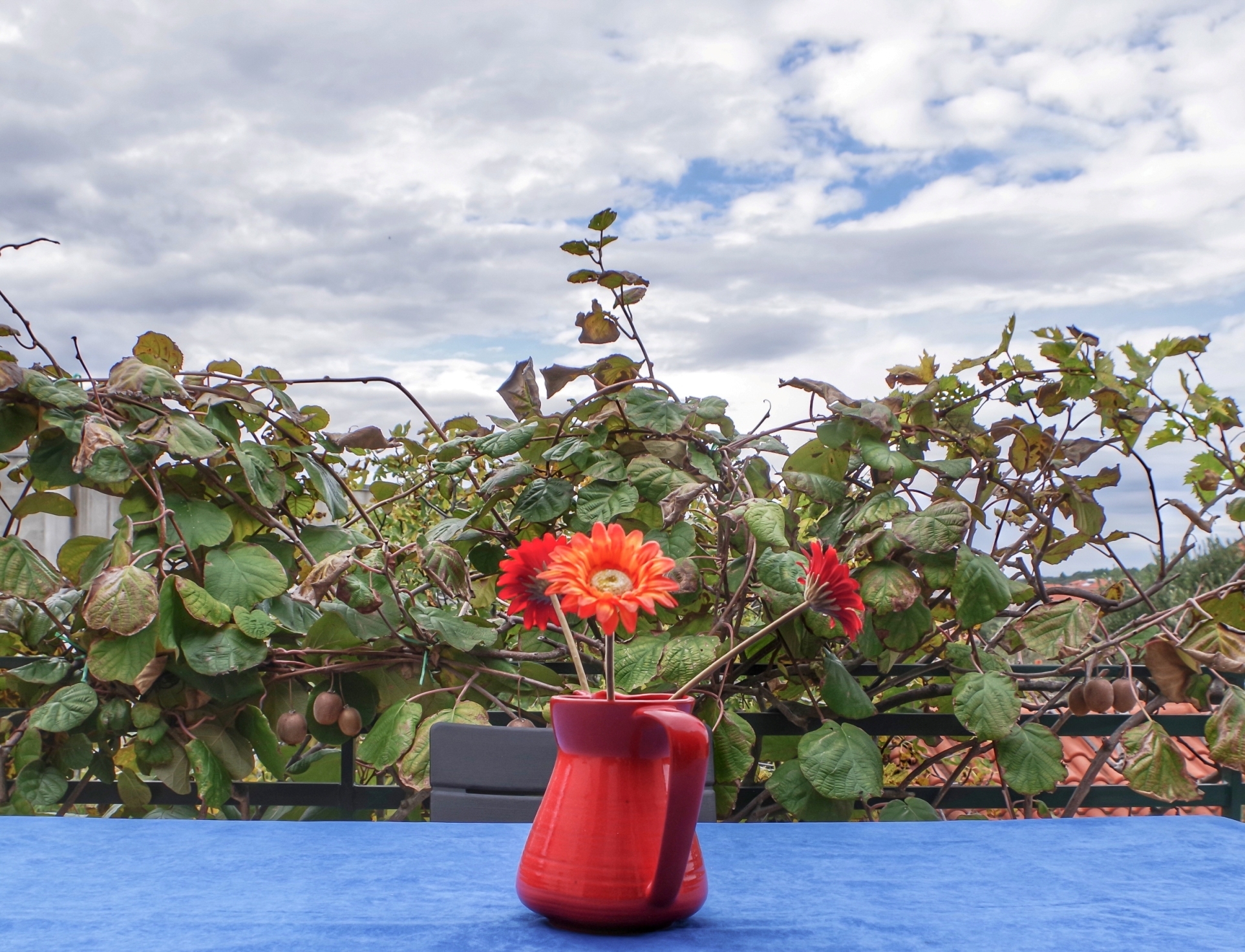 Top Rogoznica Top Rogoznica