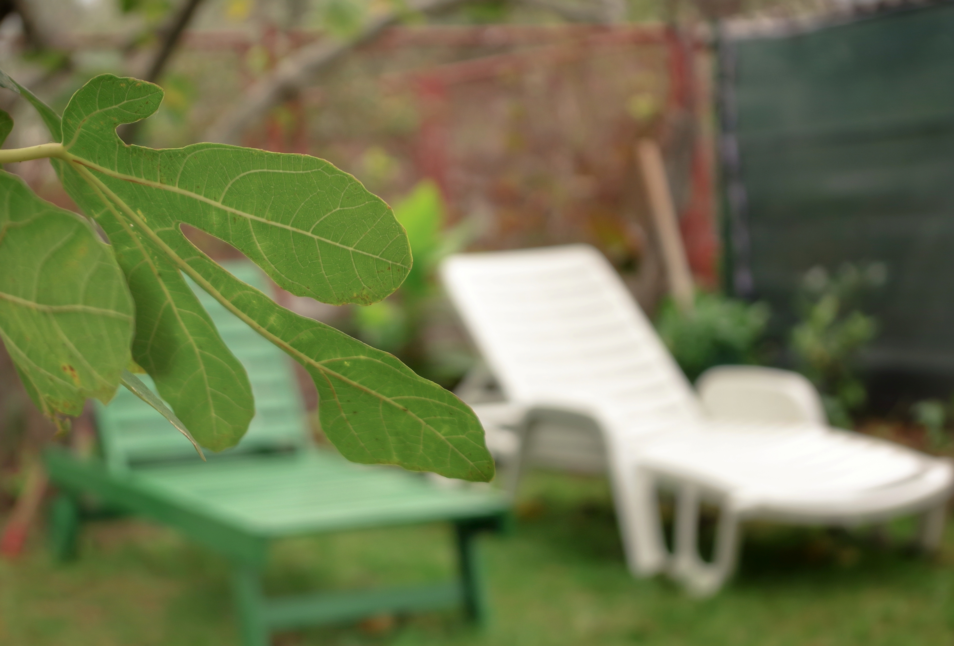 Two bedroom apartment with terrace Rogoznica (A-15876-a) Two bedroom apartment with terrace Rogoznica (A-15876-a)