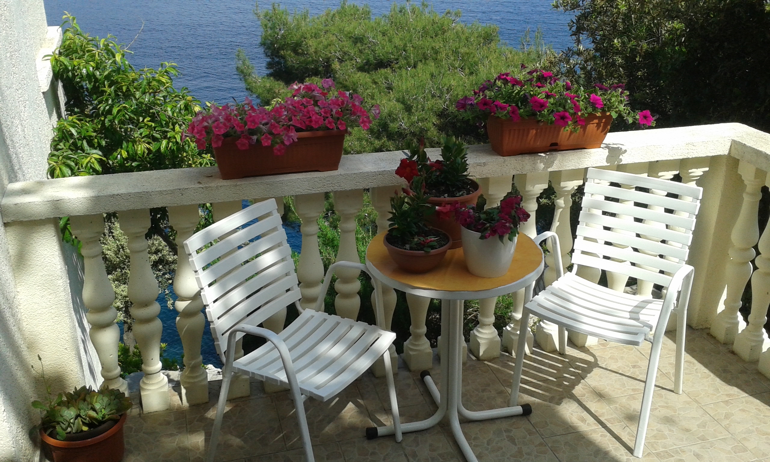 Top Mljet Sobra Top Mljet Sobra