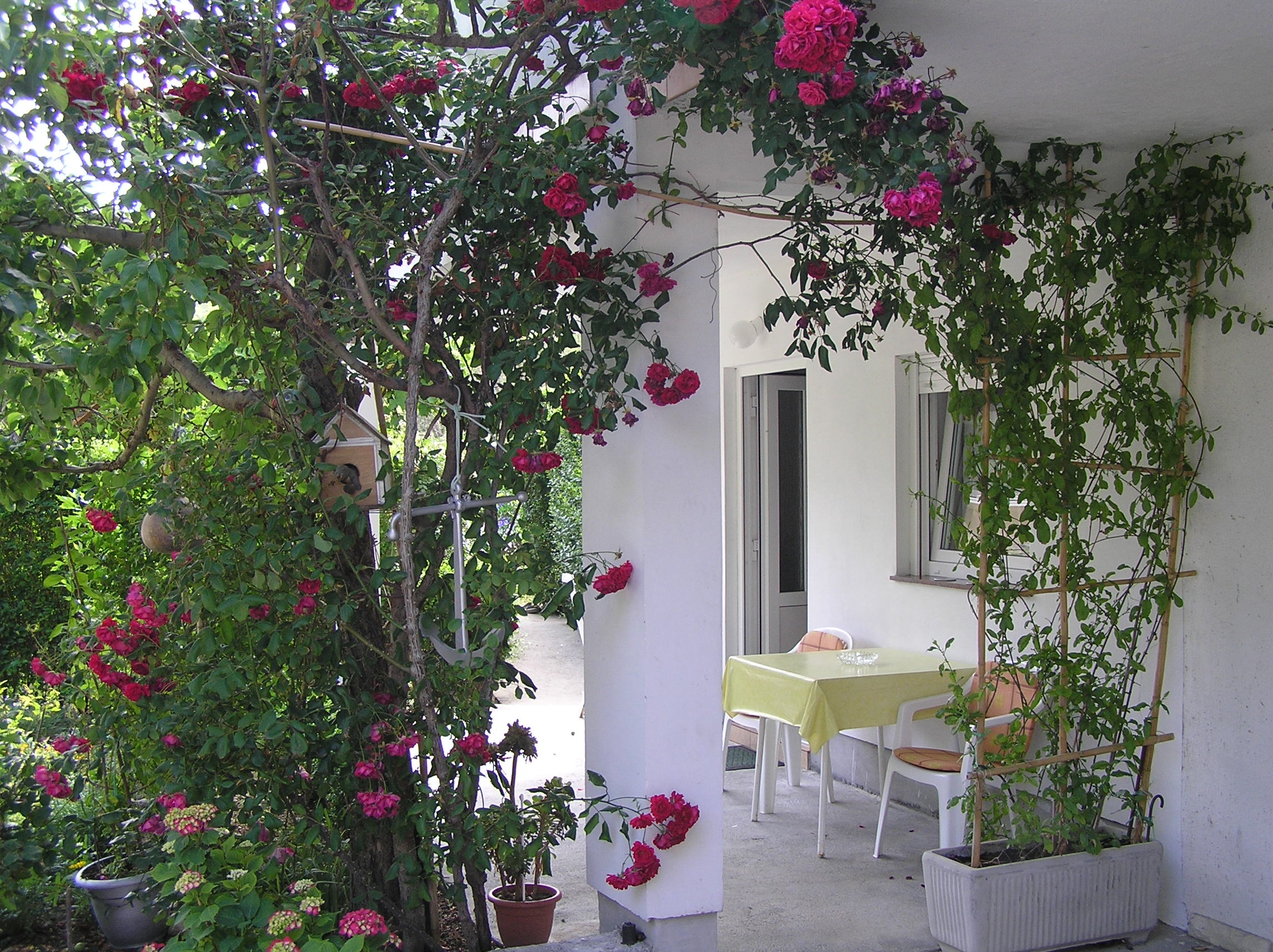 One bedroom apartment with terrace Supetarska Draga - Donja (Rab) (A-15999-b)