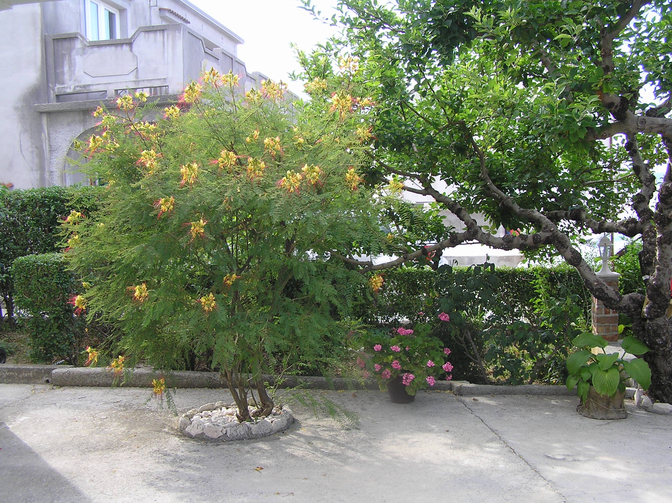 Top Rab Supetarska Draga - Donja Top Rab Supetarska Draga - Donja