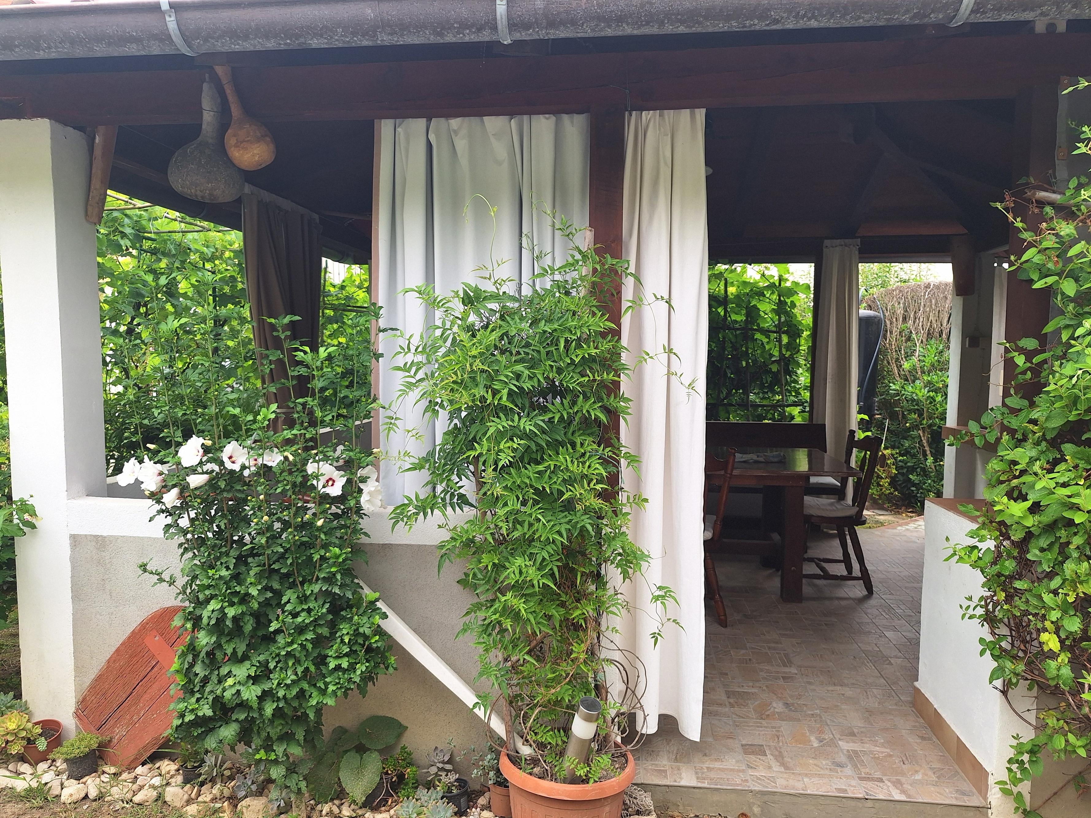 Three bedroom apartment with balcony Supetarska Draga - Donja, Rab (A-15999-c) Three bedroom apartment with balcony Supetarska Draga - Donja, Rab (A-15999-c)