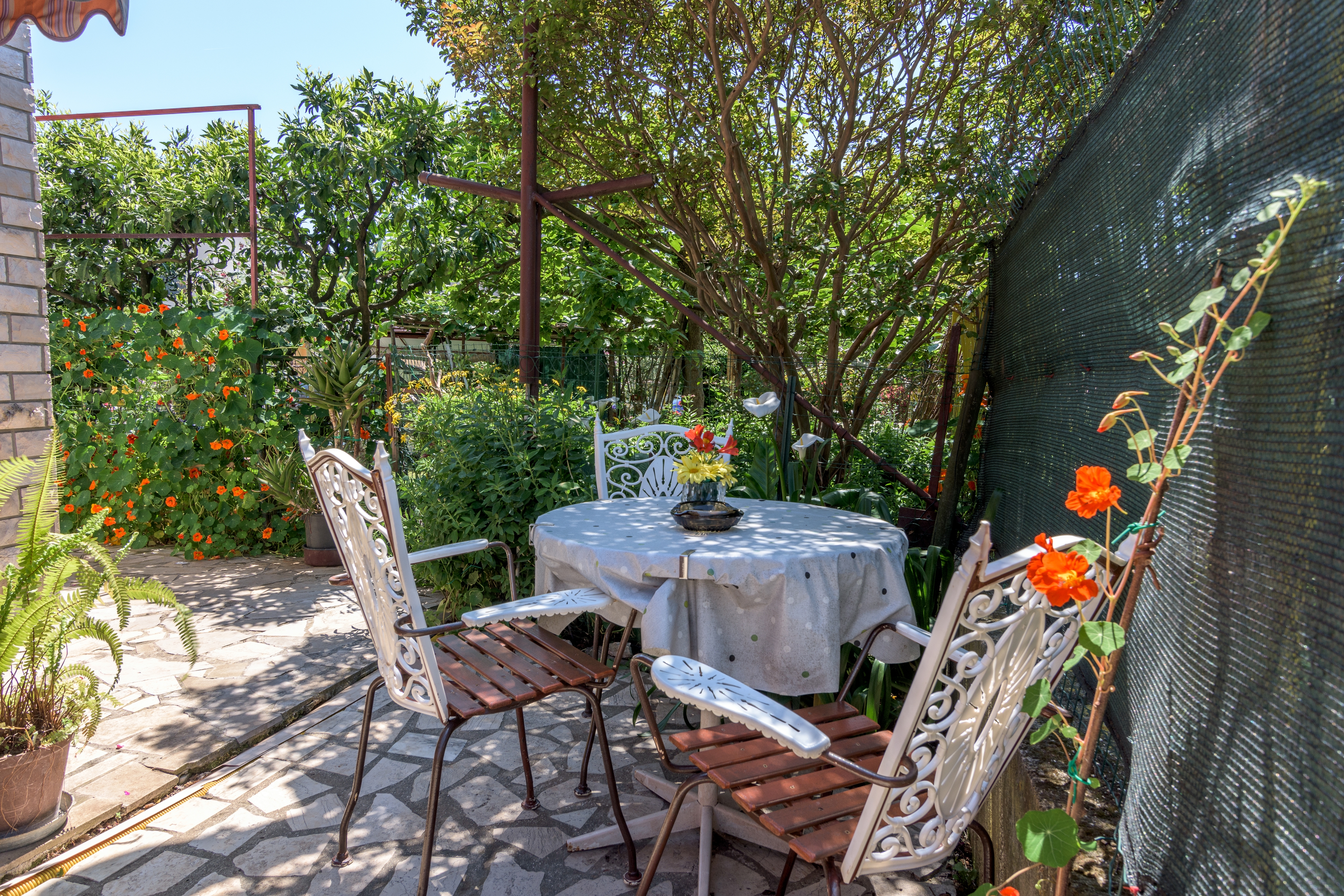 One bedroom apartment with terrace Pula (A-16053-b) One bedroom apartment with terrace Pula (A-16053-b)