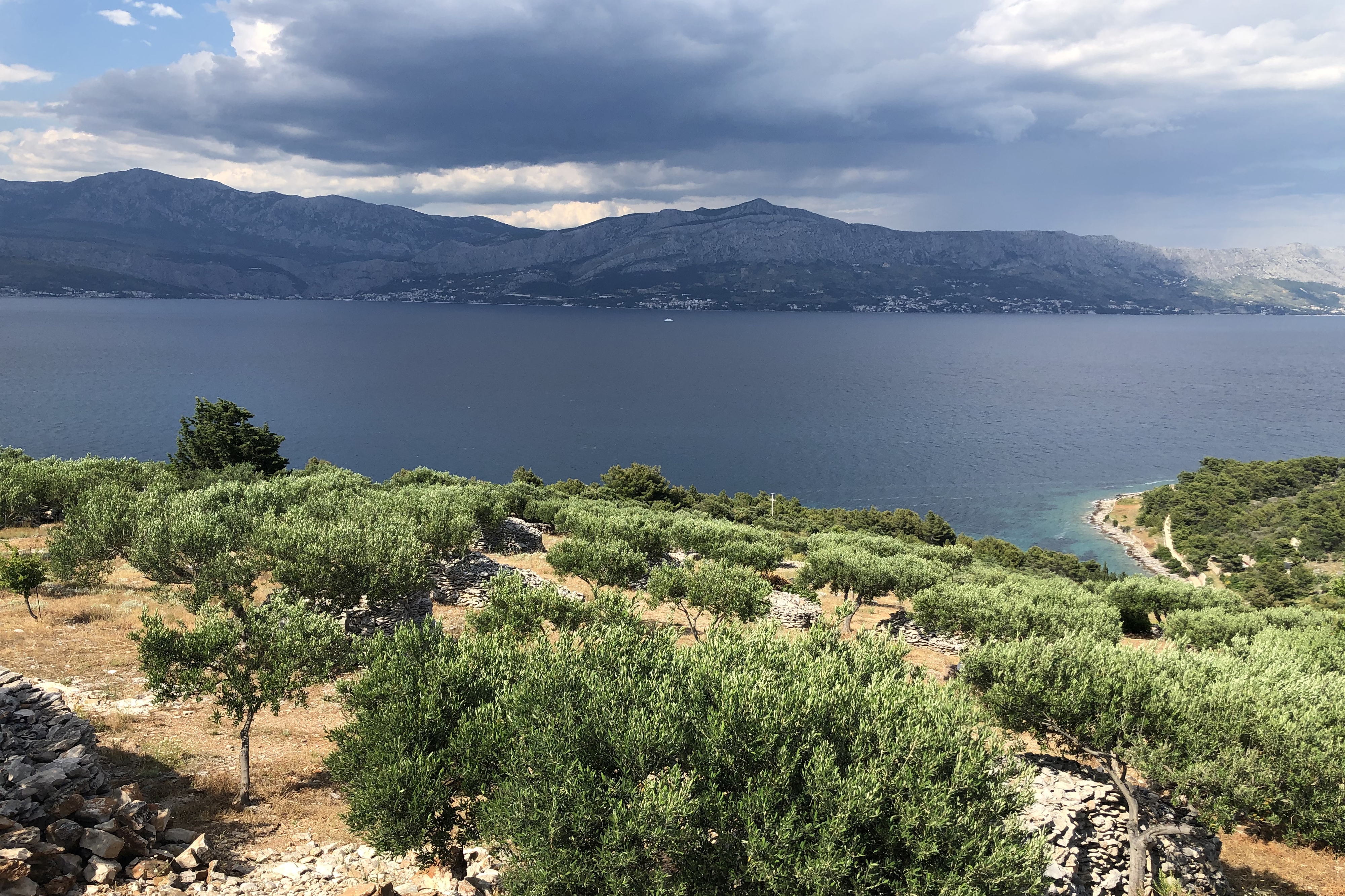 One bedroom house with terrace and sea view Cove Vela Lozna, Brač  K