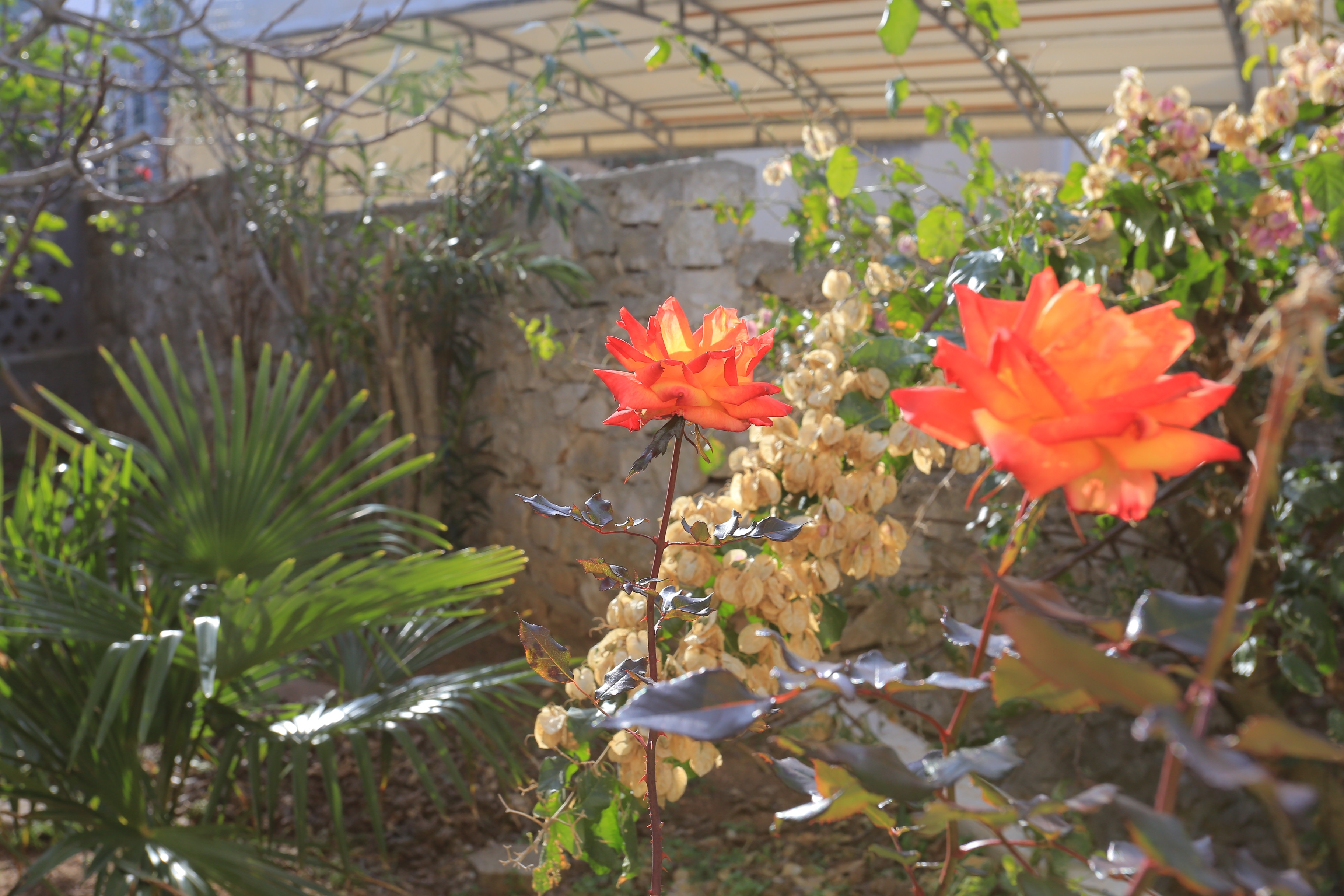 Two bedroom apartment with terrace Slatine, Čiovo (A-16345-b)