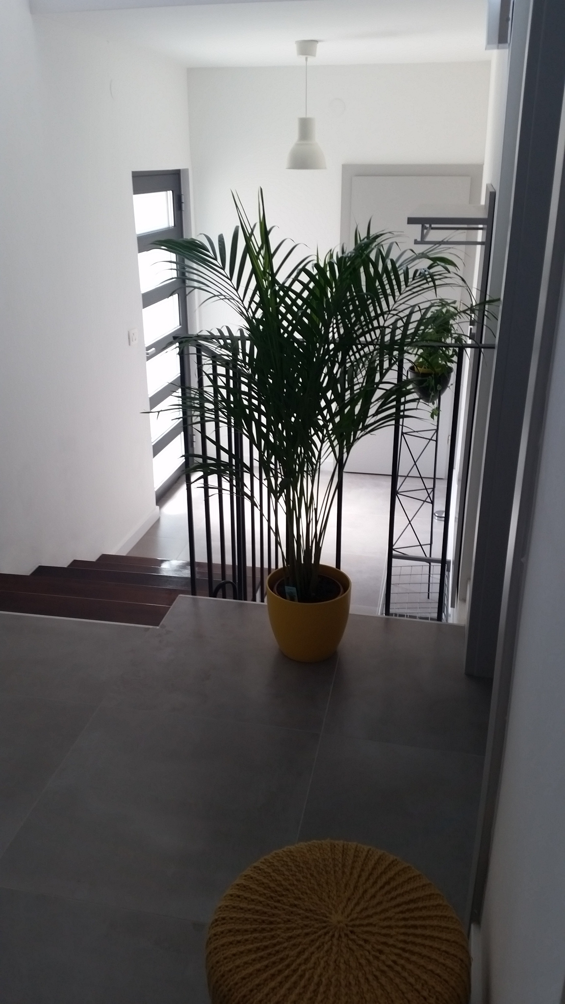 Two bedroom apartment with terrace and sea view Nin, Zadar  A-a