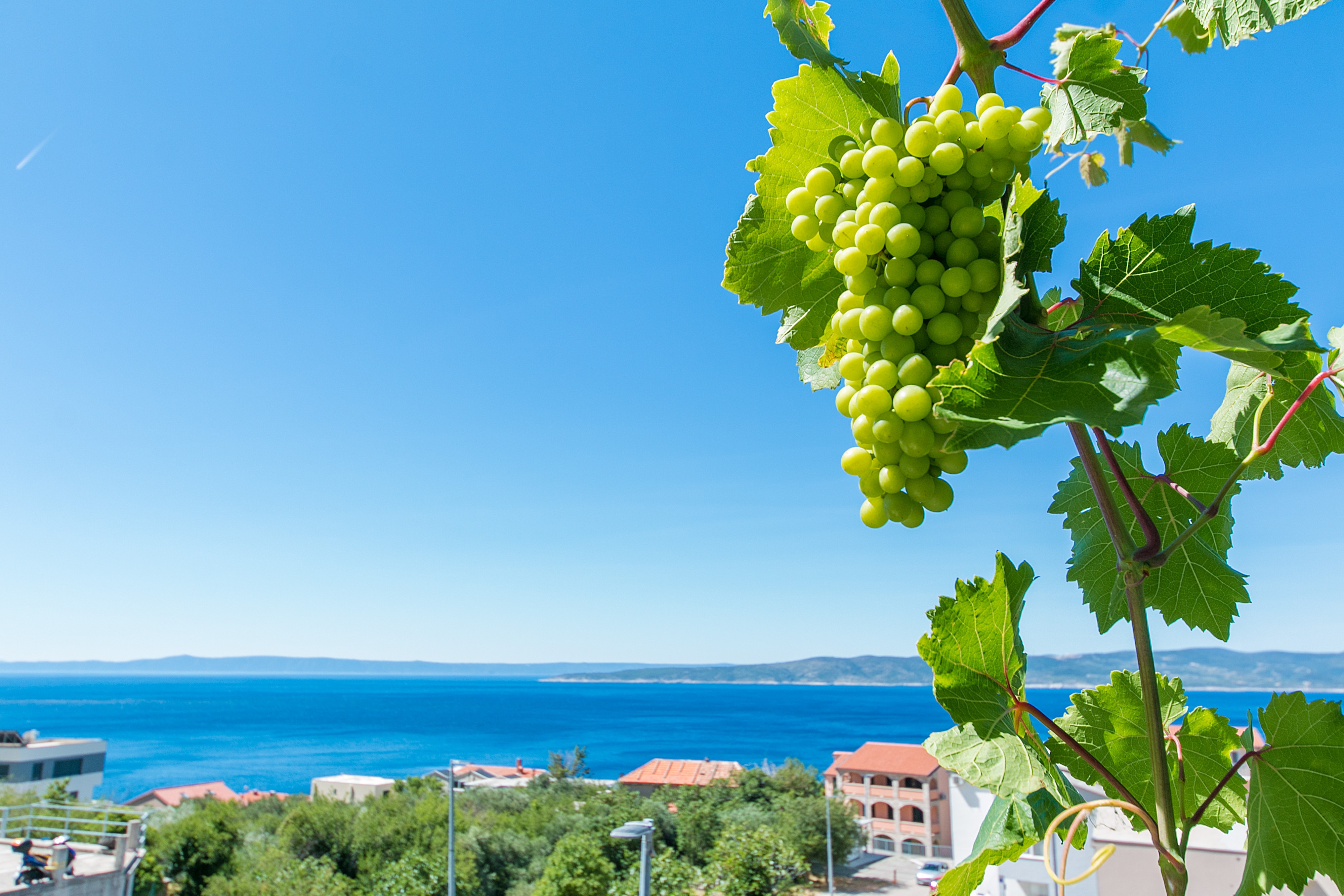 Two bedroom apartment with terrace and sea view Brela, Makarska  A-a