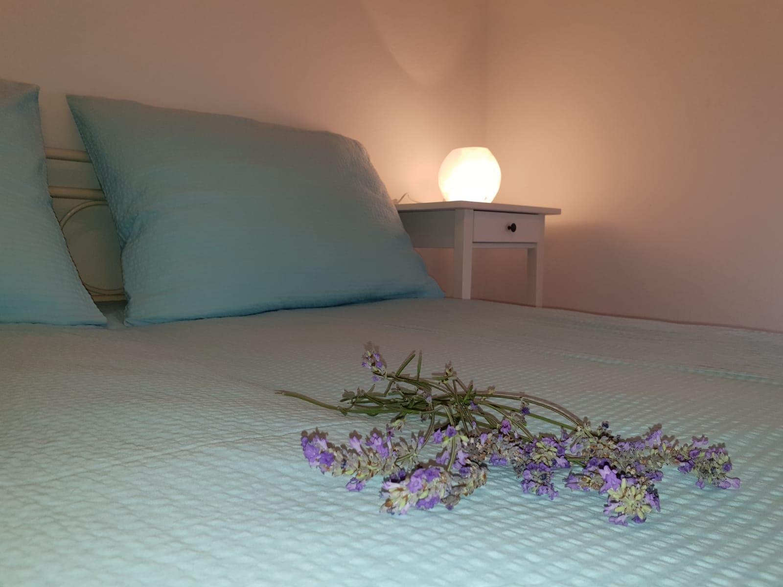 One bedroom apartment with balcony and sea view Banjol, Rab (A-16647-c) One bedroom apartment with balcony and sea view Banjol, Rab (A-16647-c)