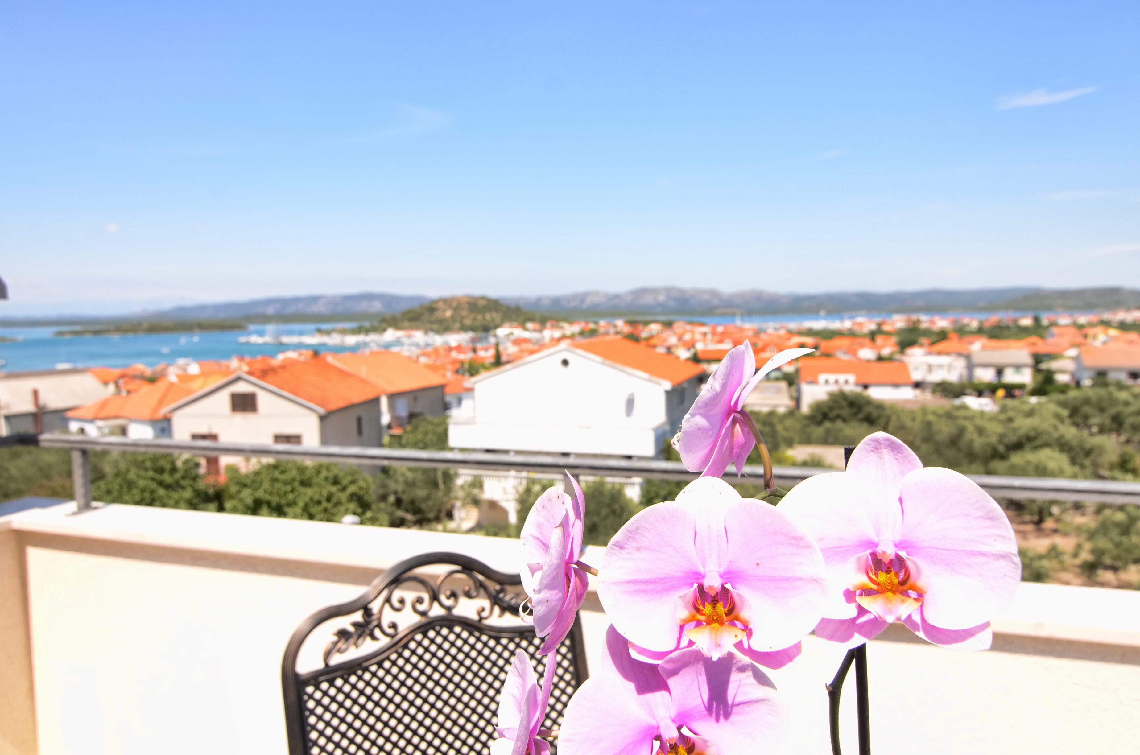 Top Murter Top Murter