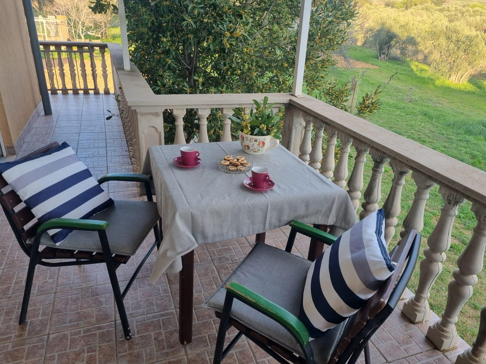 Studio flat with terrace Sveti Filip i Jakov, Biograd (AS-16708-a) Studio flat with terrace Sveti Filip i Jakov, Biograd (AS-16708-a)