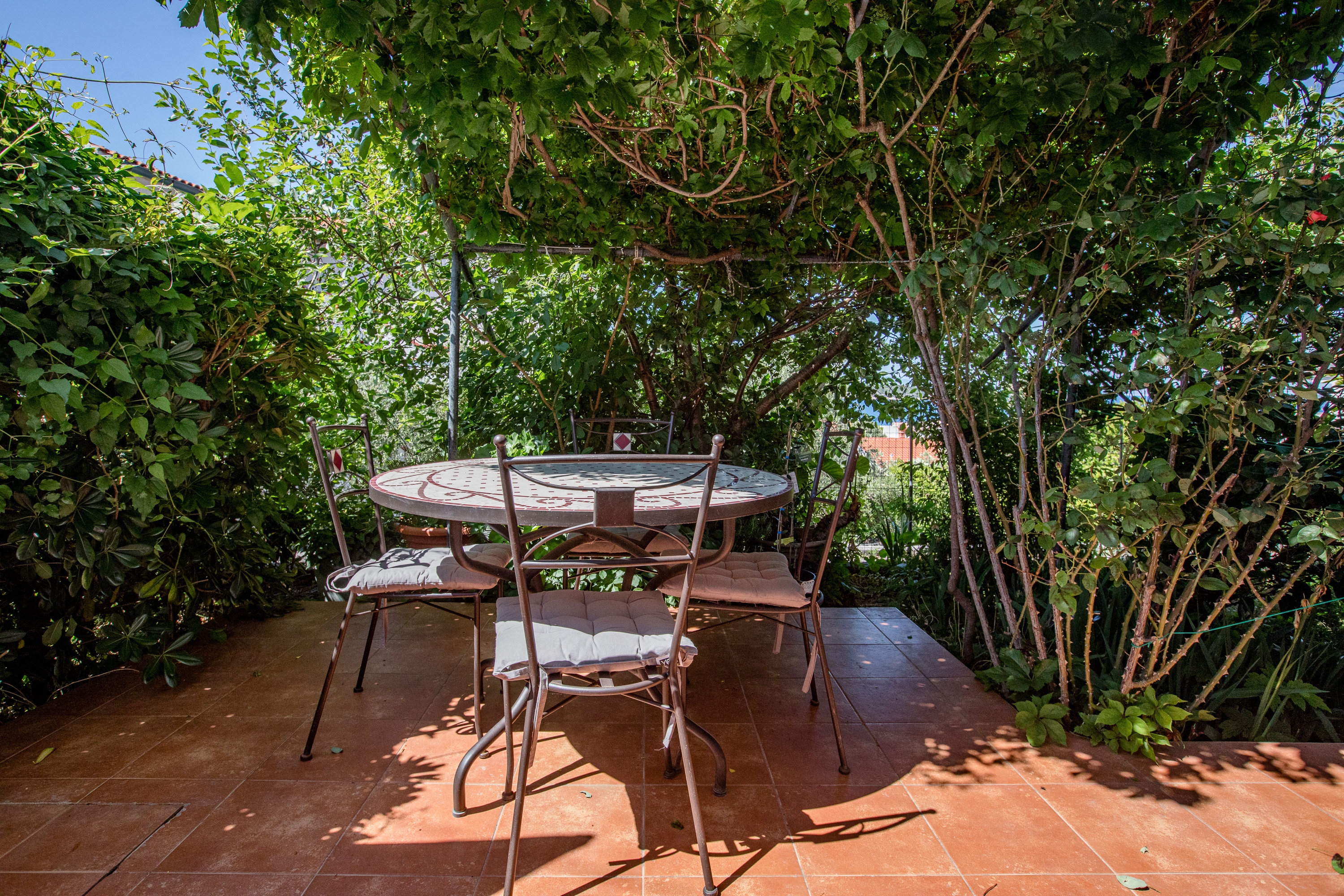 One bedroom apartment with terrace Barbat, Rab (A-16723-a) One bedroom apartment with terrace Barbat, Rab (A-16723-a)