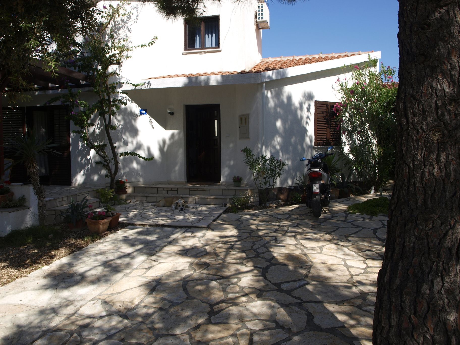 Top Vir Vir - Kozjak Top Vir Vir - Kozjak