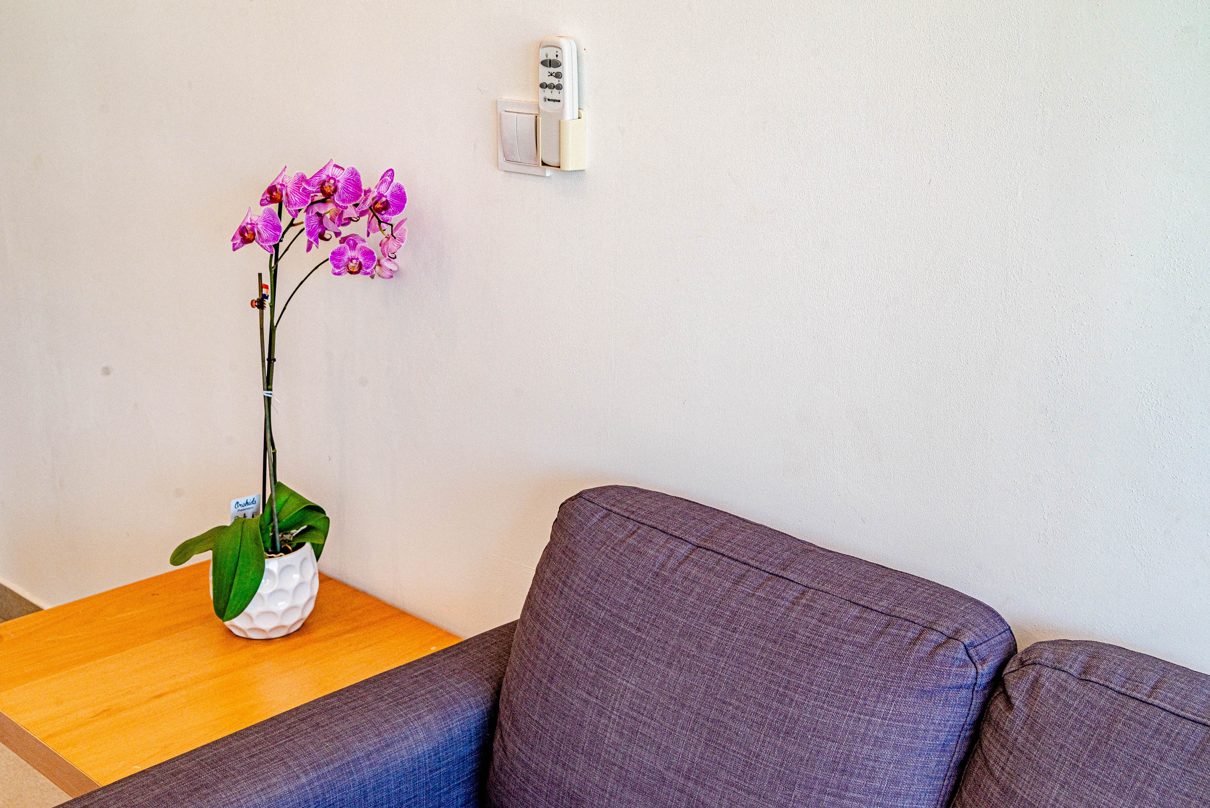 Top Korčula Kneža Top Korčula Kneža