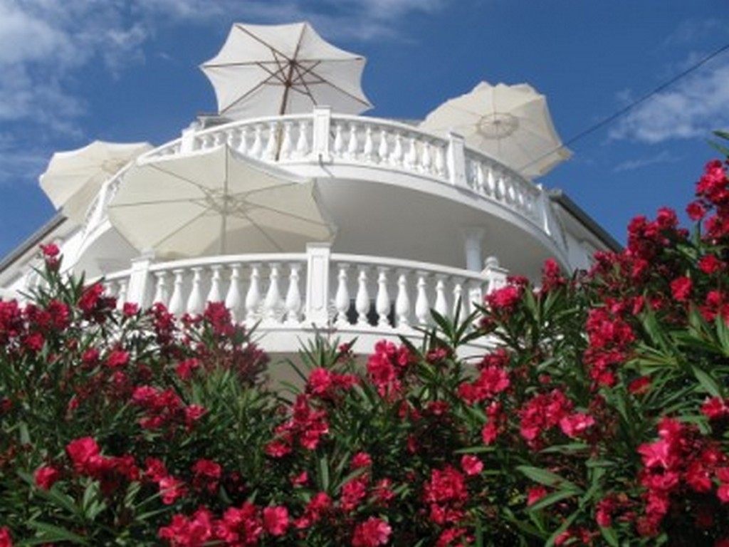 One bedroom apartment with terrace and sea view Barbat, Rab (A-16816-a)