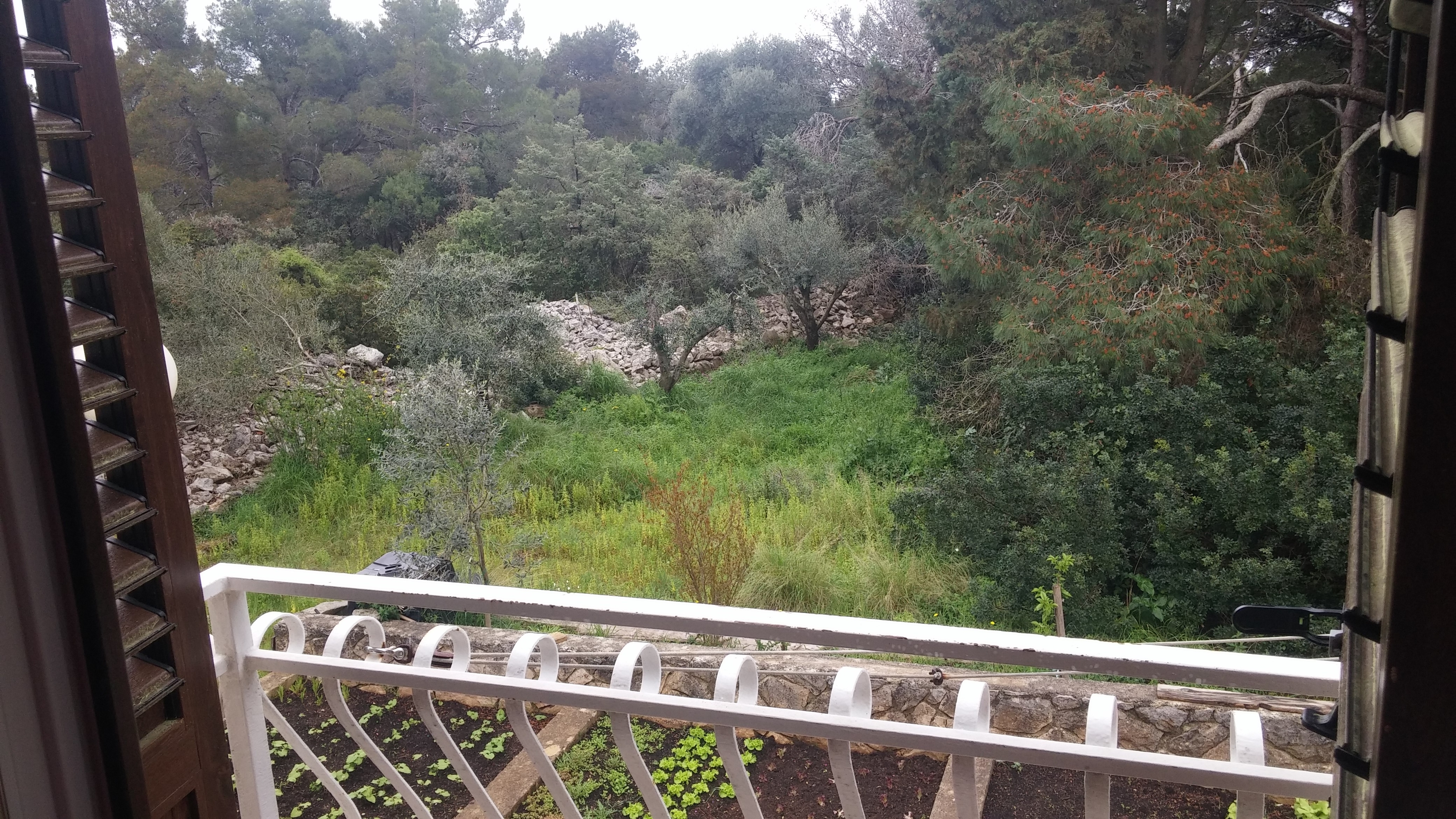 Top Lošinj Mali Lošinj Top Lošinj Mali Lošinj