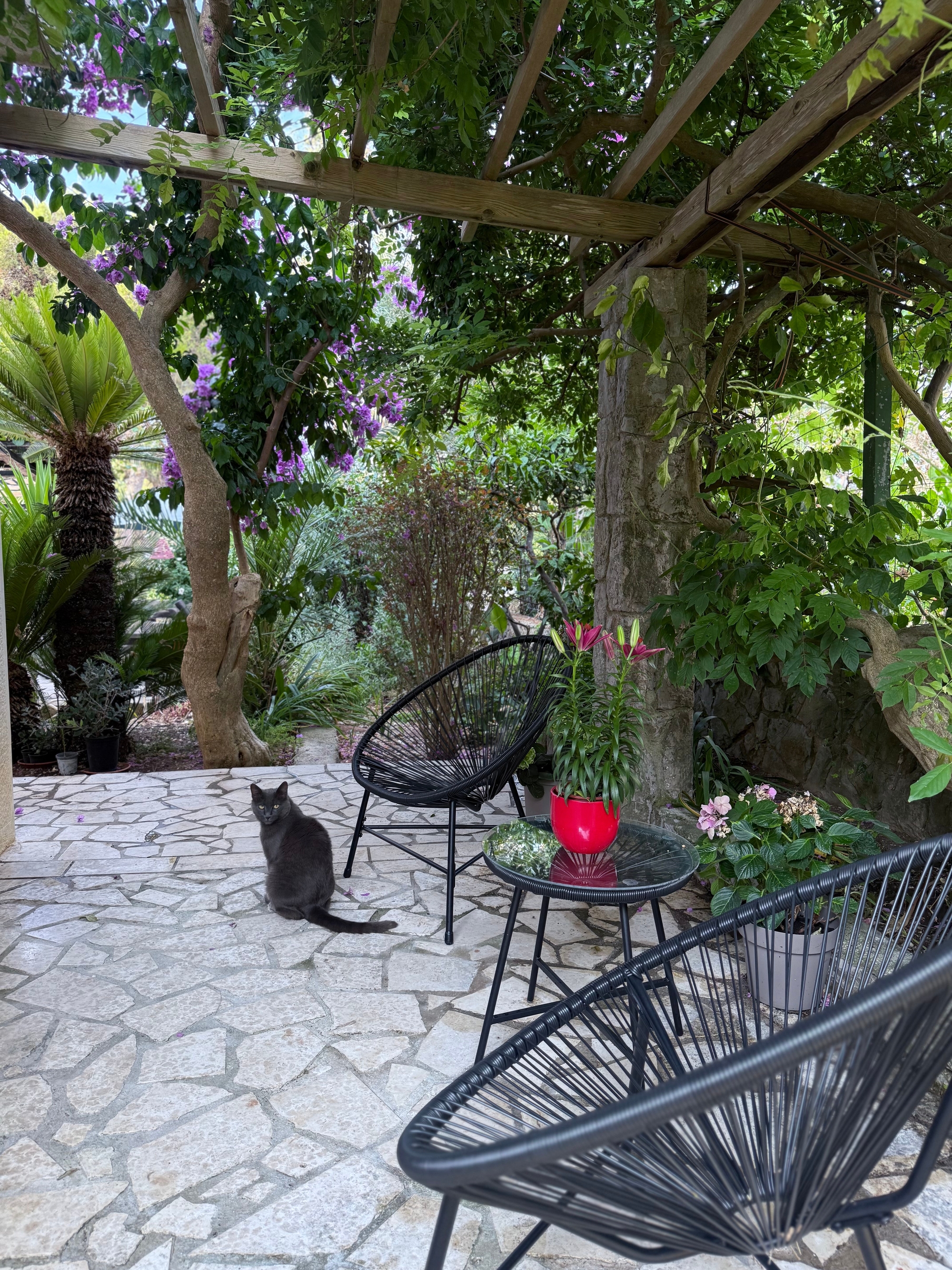 Top Lošinj Mali Lošinj Top Lošinj Mali Lošinj