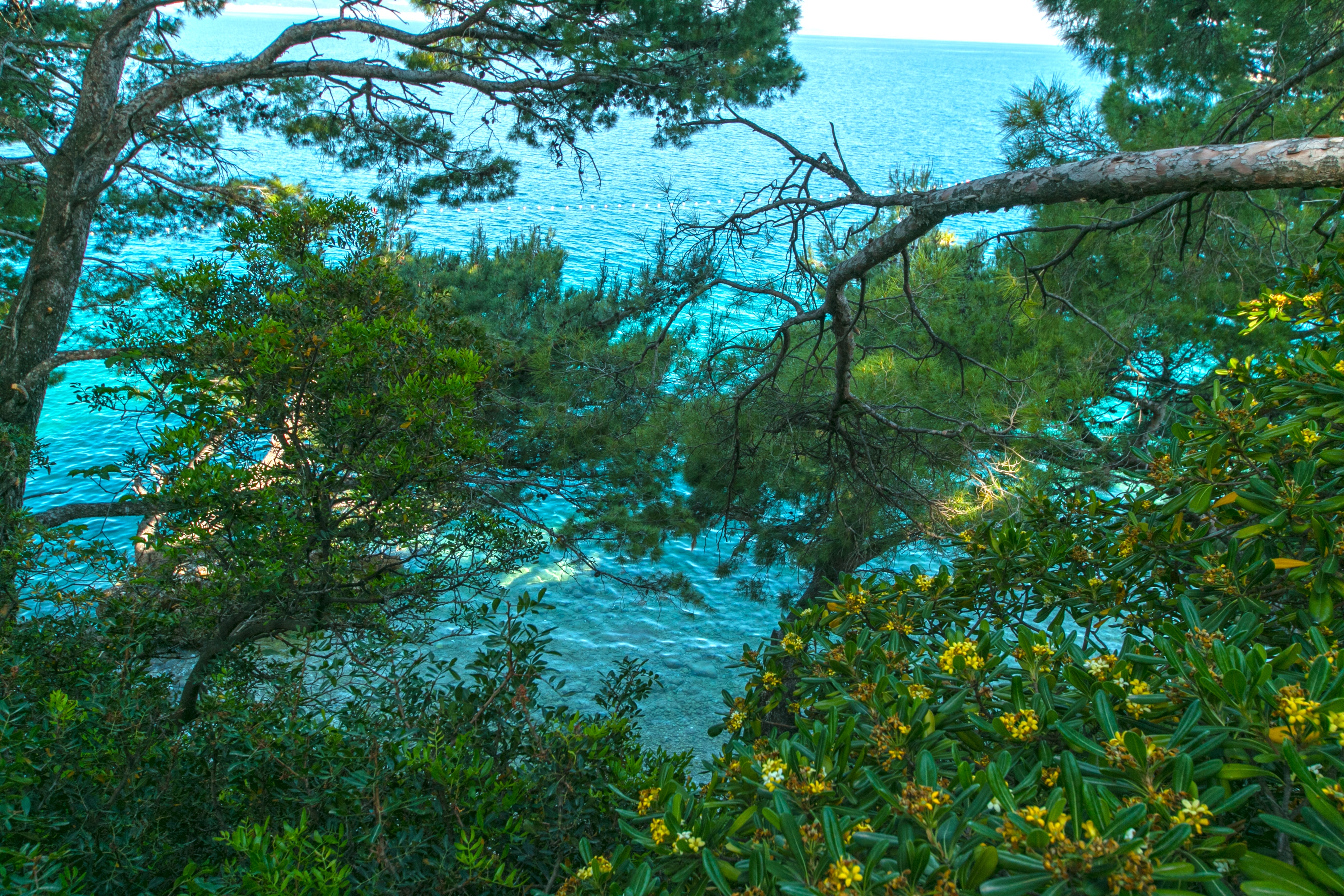 Studio flat near beach Brela, Makarska  AS-a