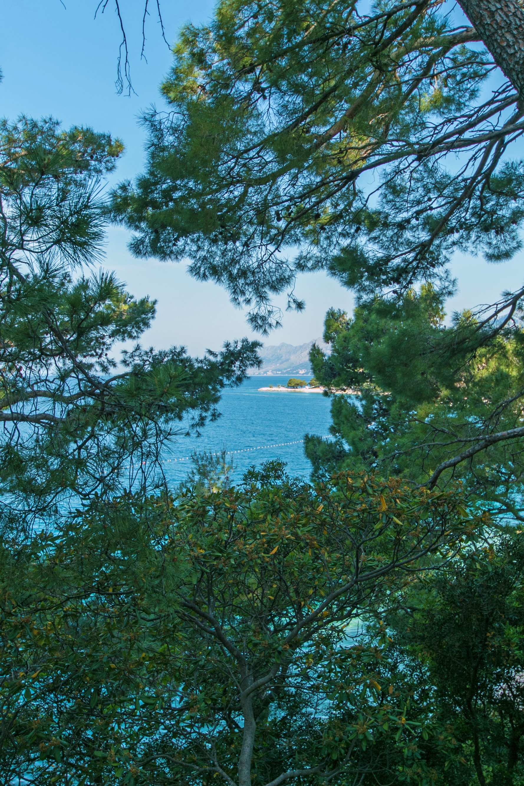 Studio flat near beach Brela, Makarska  AS-a