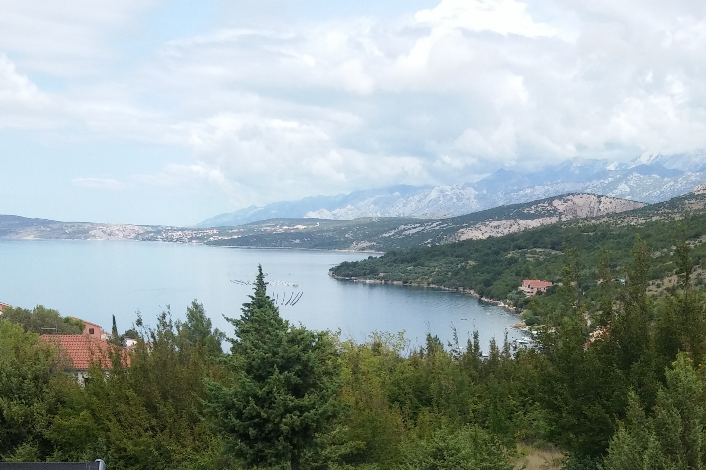 Two bedroom apartment with terrace and sea view Kruševo, Novigrad  A-a