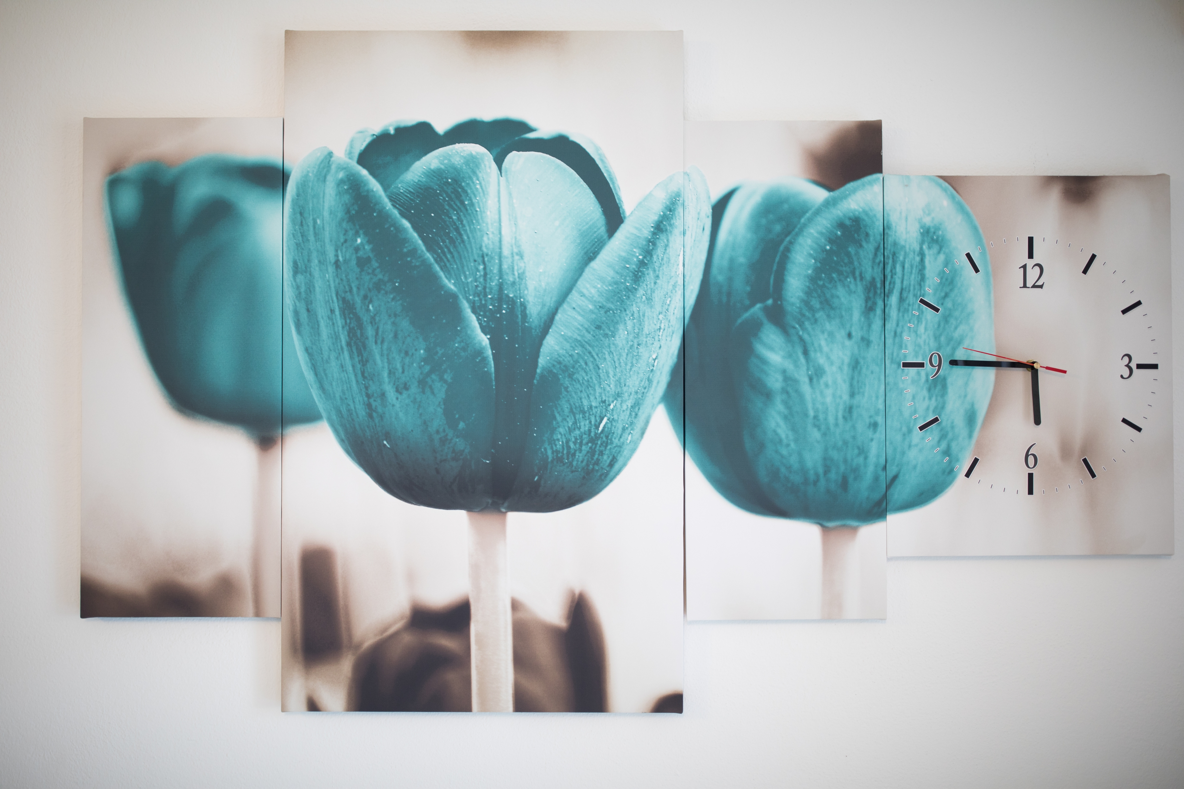 Top Zadar Petrčane Top Zadar Petrčane