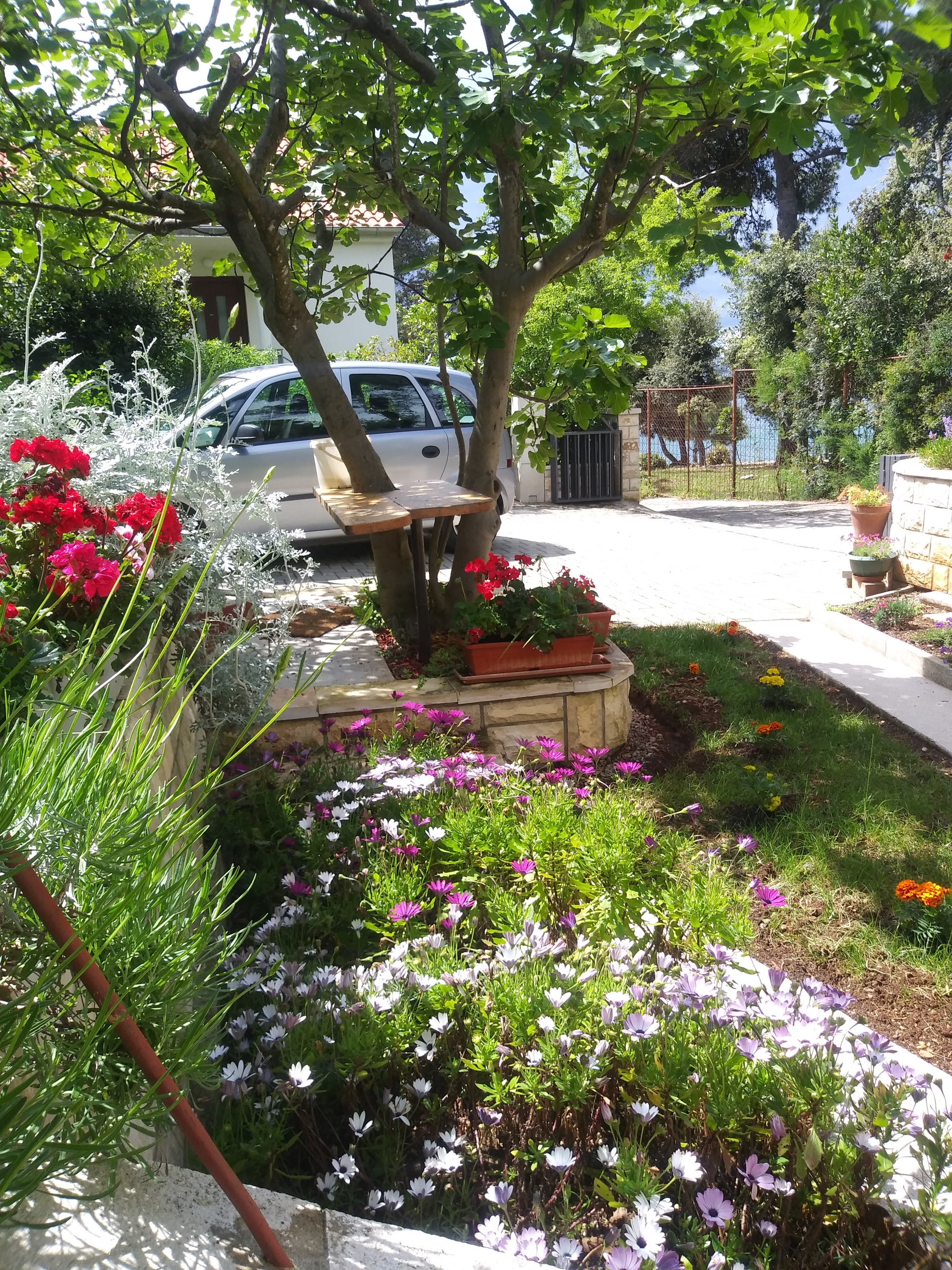 Studio flat near beach Petrčane, Zadar  AS-a