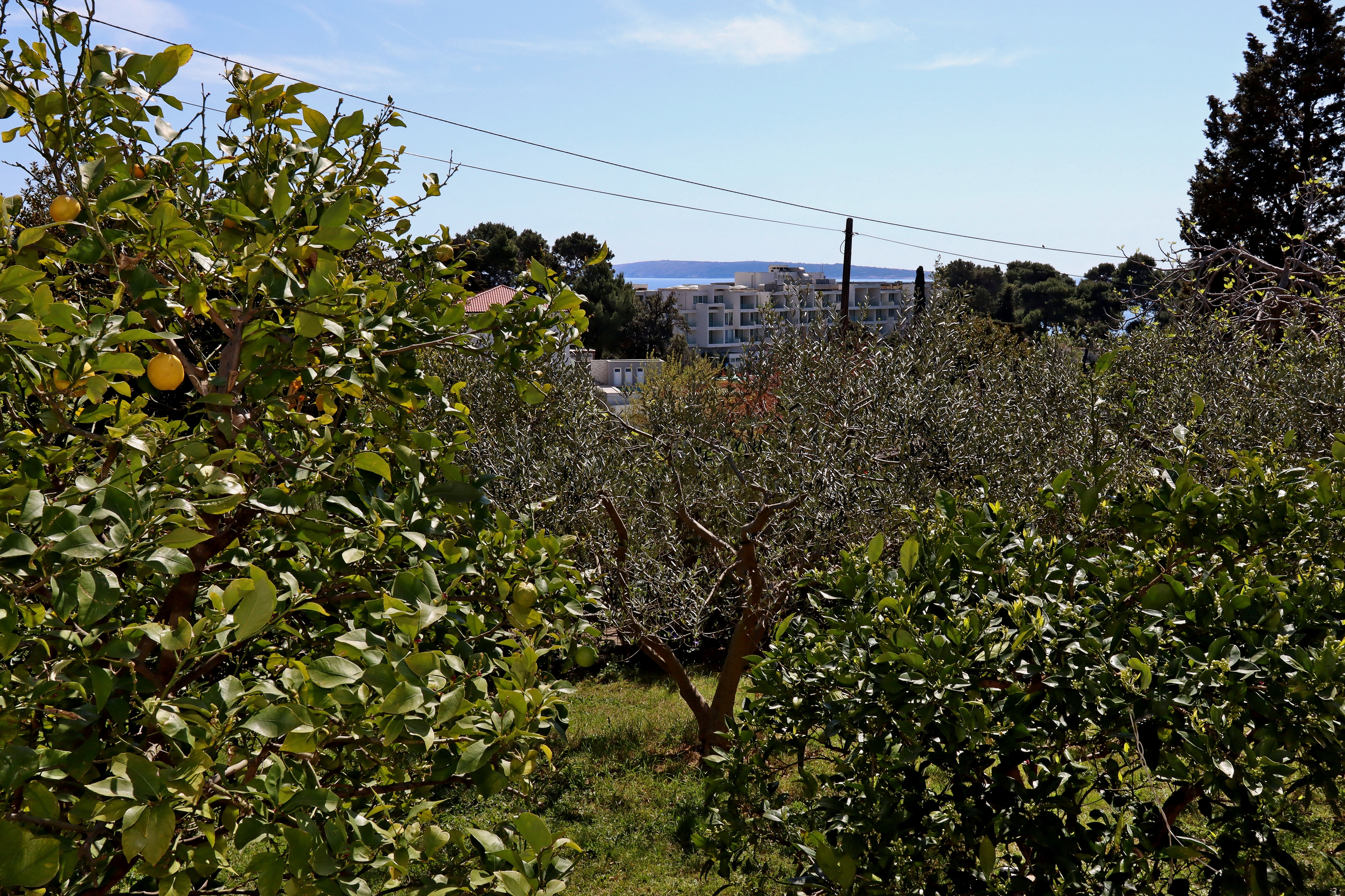 Studio flat with terrace Suha Punta, Rab  AS-a