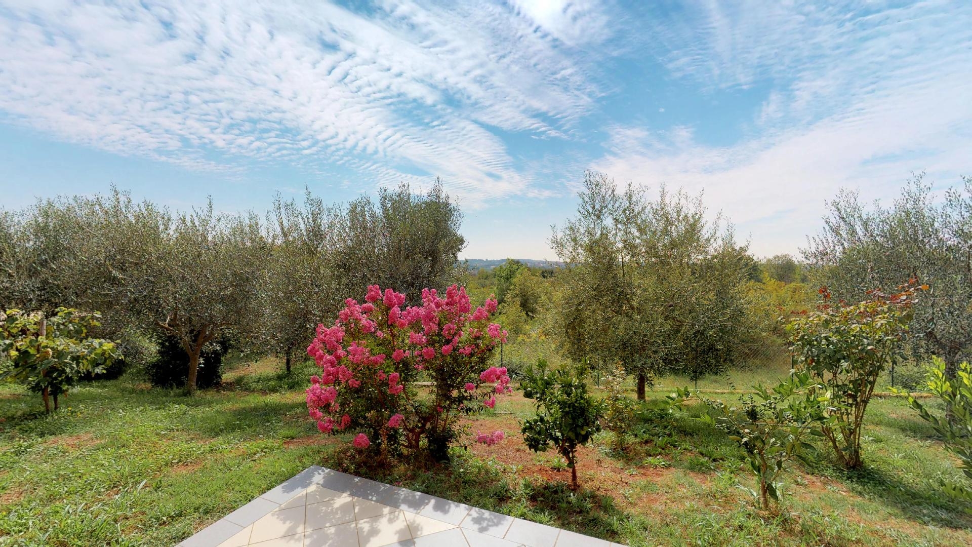 Two bedroom apartment with terrace Vilanija, Umag (A-17240-a)