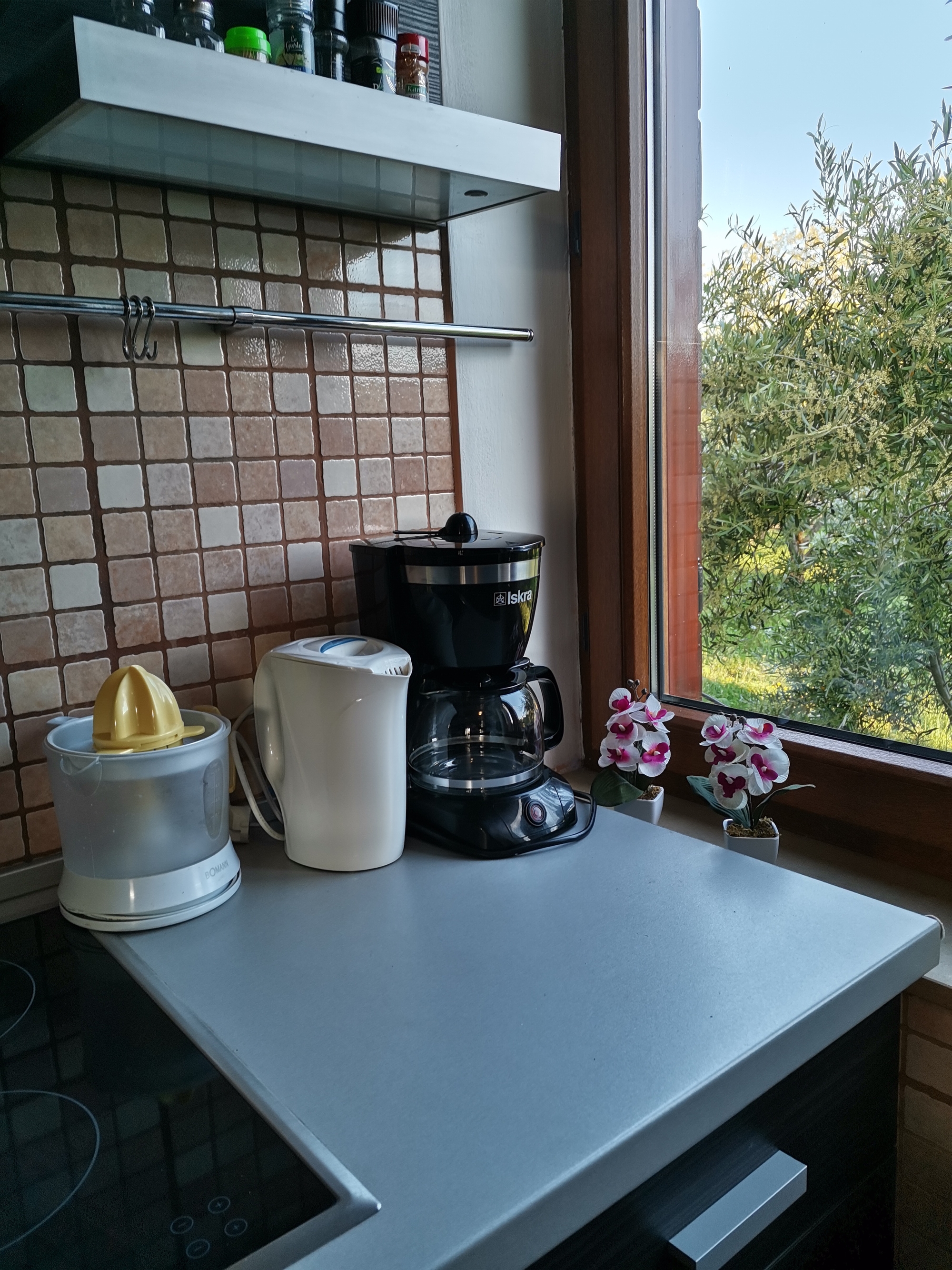 Top Brač Škrip Top Brač Škrip