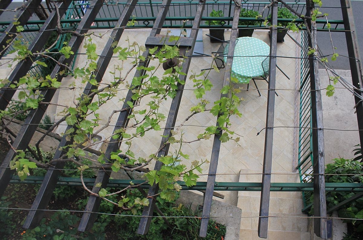 Top Opatija Mošćenička Draga Top Opatija Mošćenička Draga